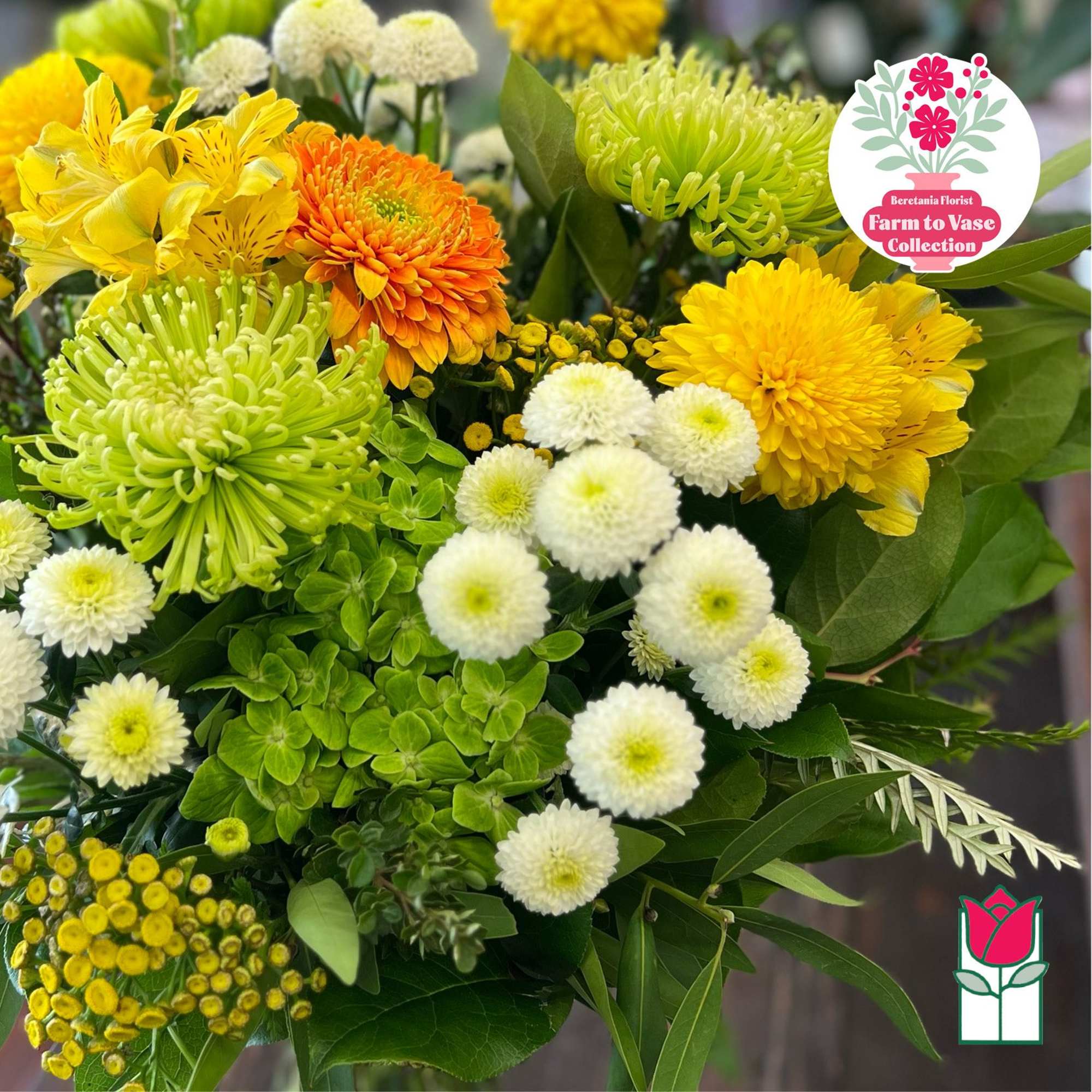 Bouquet of yellow, orange, green, and white chrysanthemums