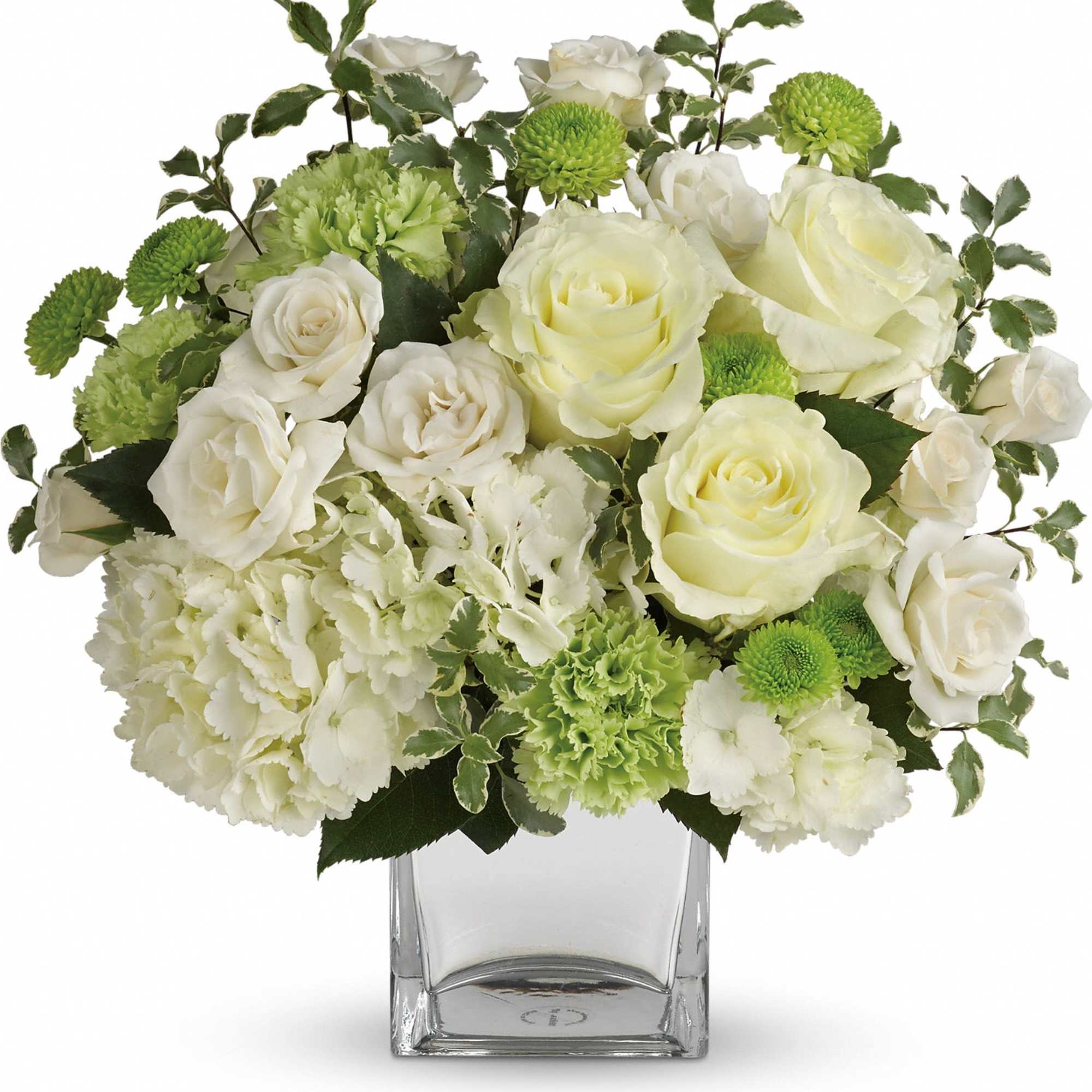 White and green arrangement with roses, carnations, and hydrangeas in a clear glass cube vase