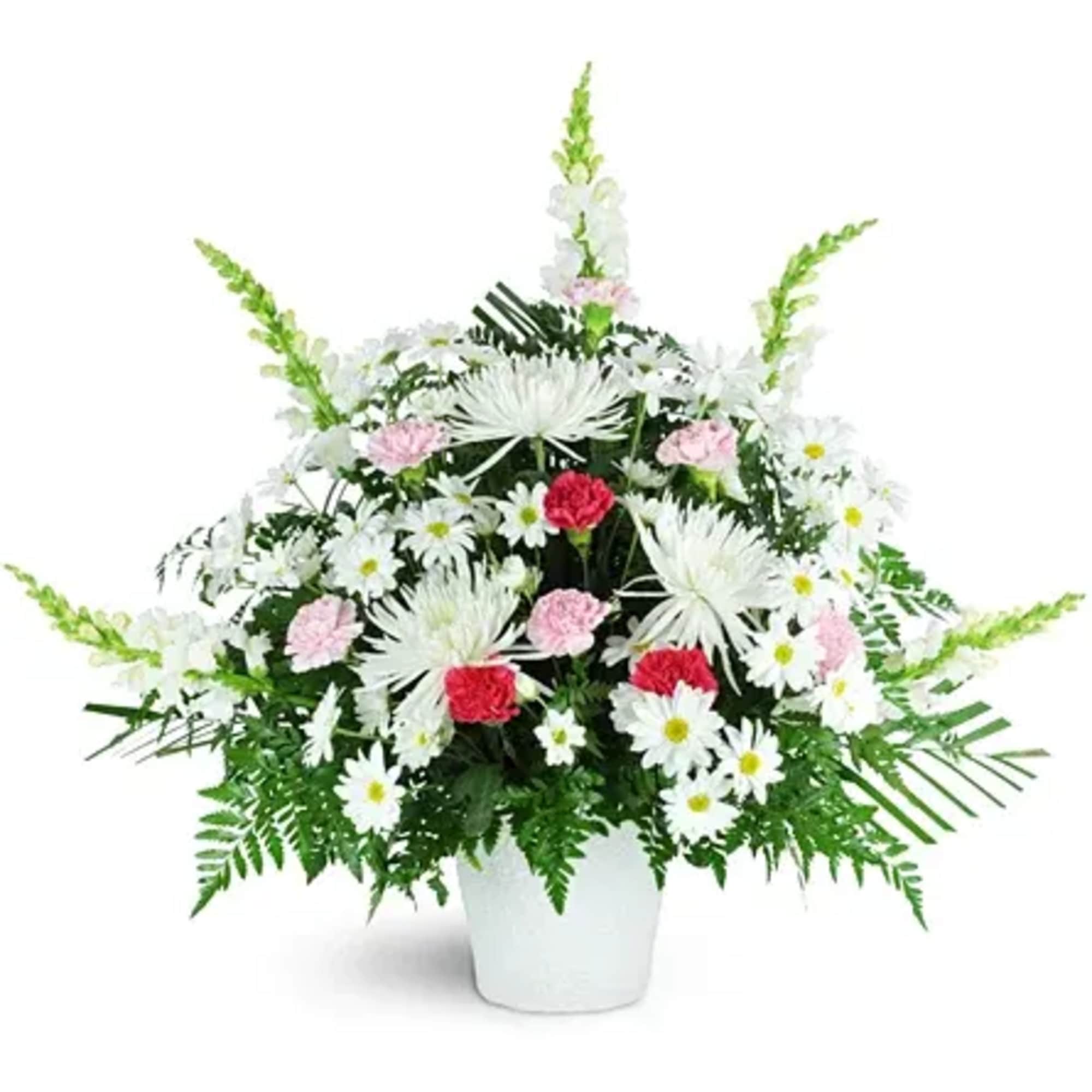 Tall fan-shaped arrangement of white daisies and mums with pink and red carnations in a white pot