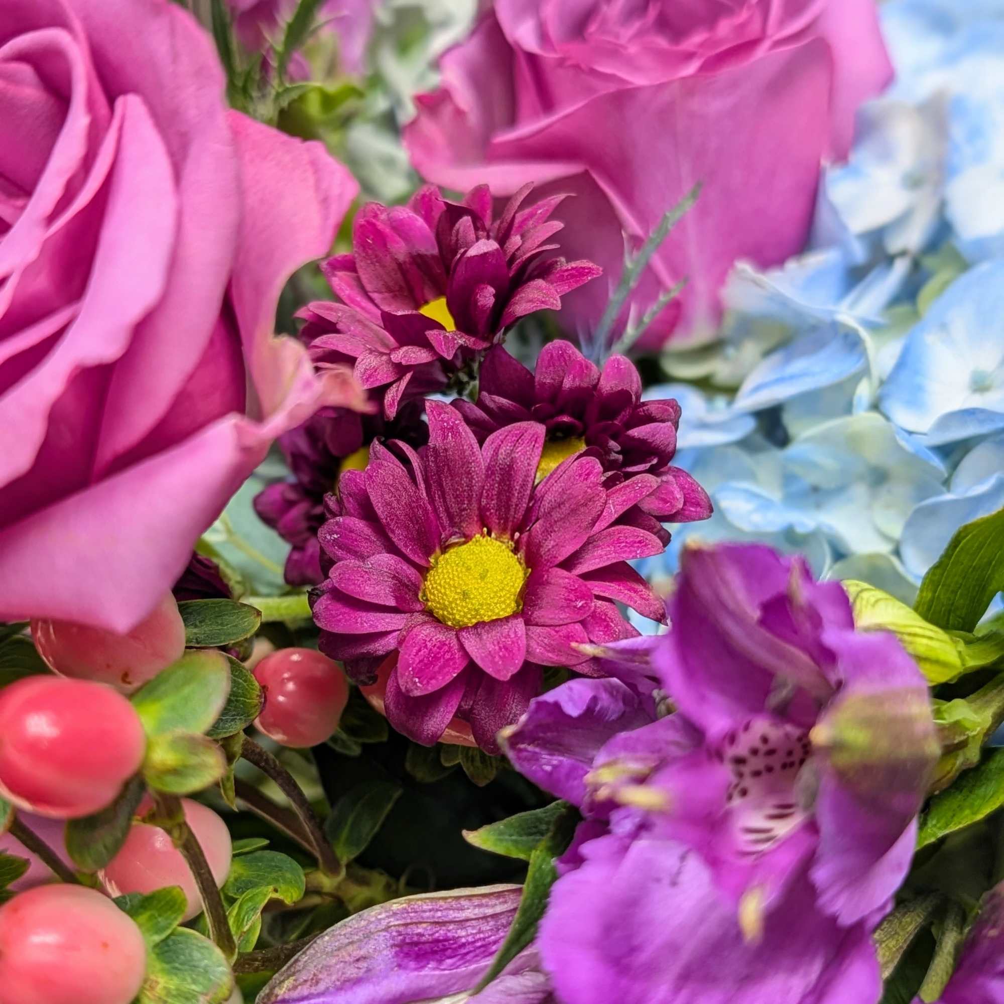 Pink roses with purple daisies and blue hydrangea
