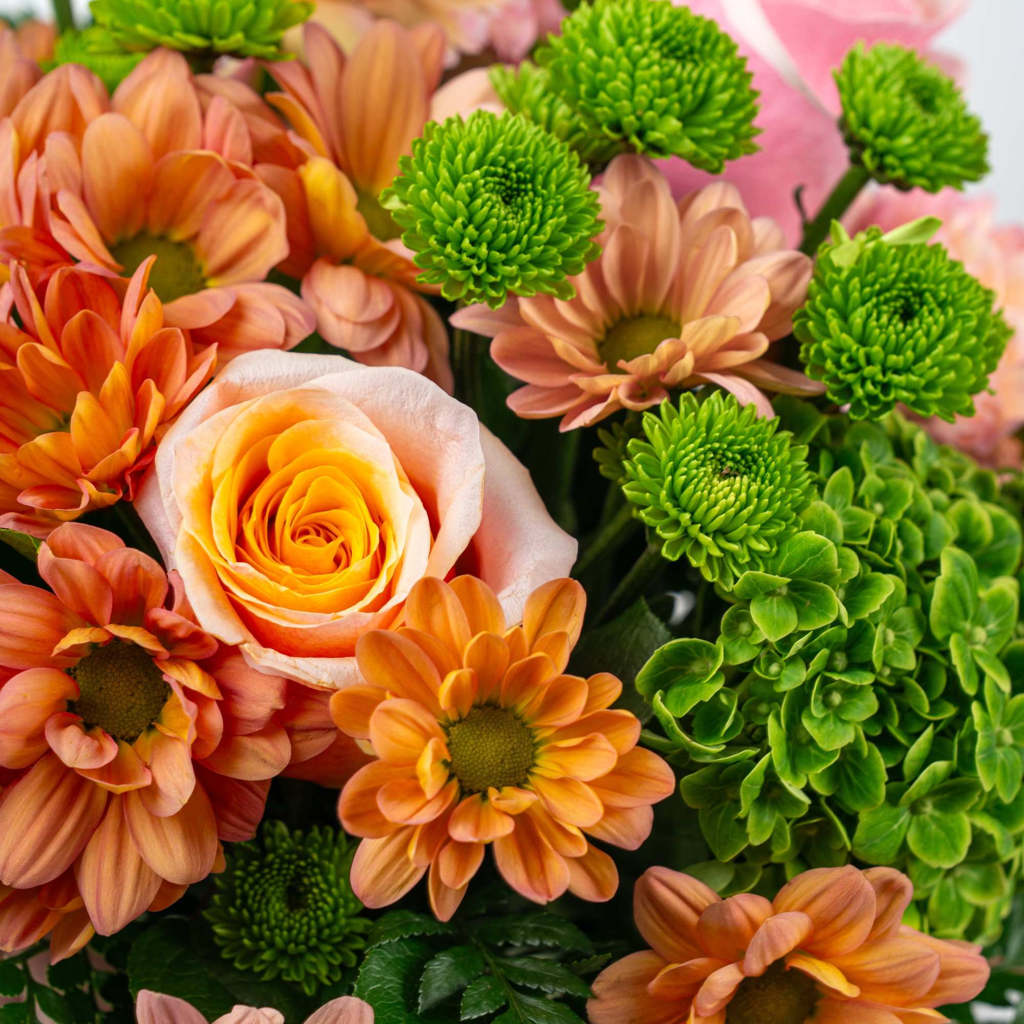 Our Blooming Birthday Wishes Collection celebrates birthdays with bright blooms in cheerful, photo 3 of 3