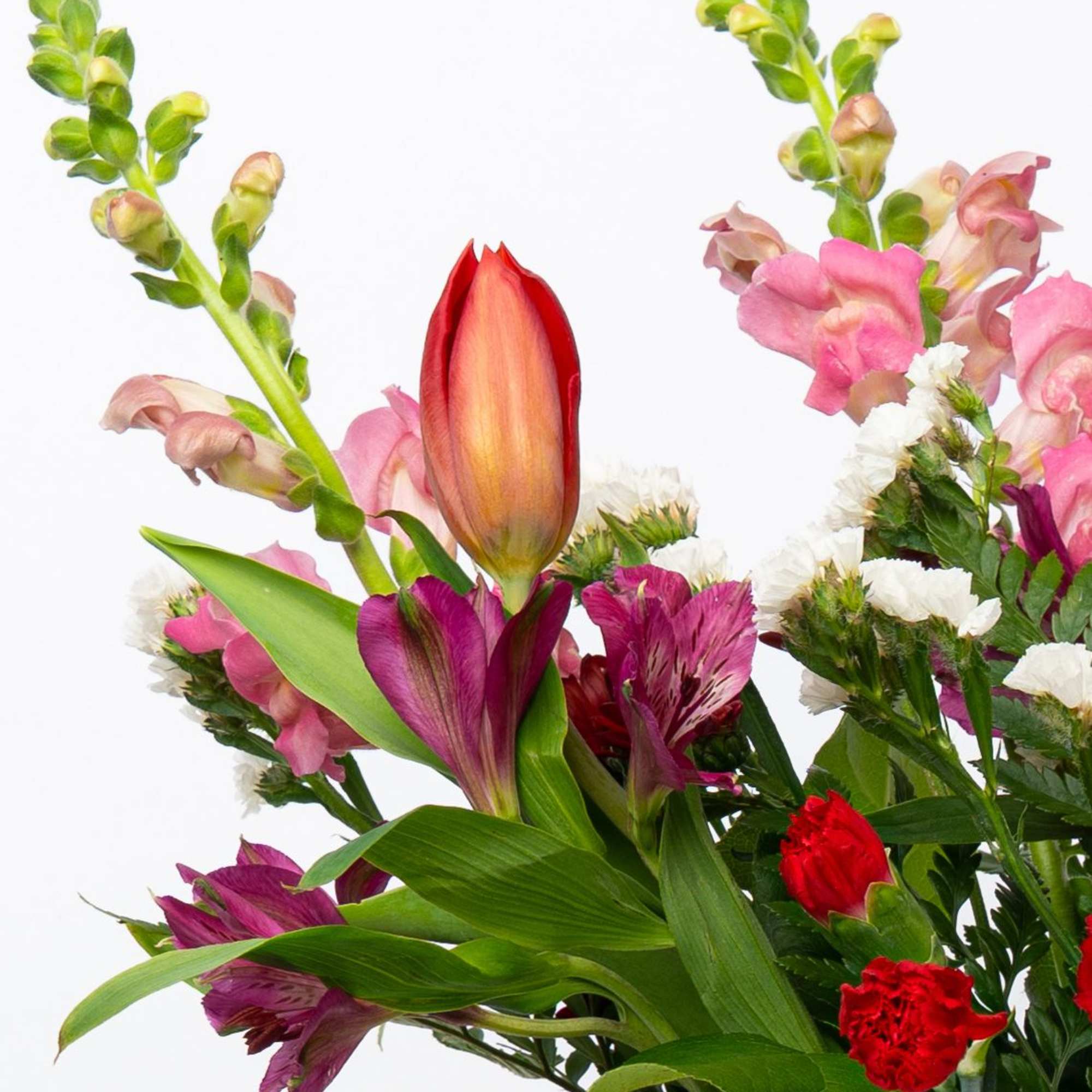 Mixed bouquet with tulips, snapdragons, and alstroemeria in pink, red, and white