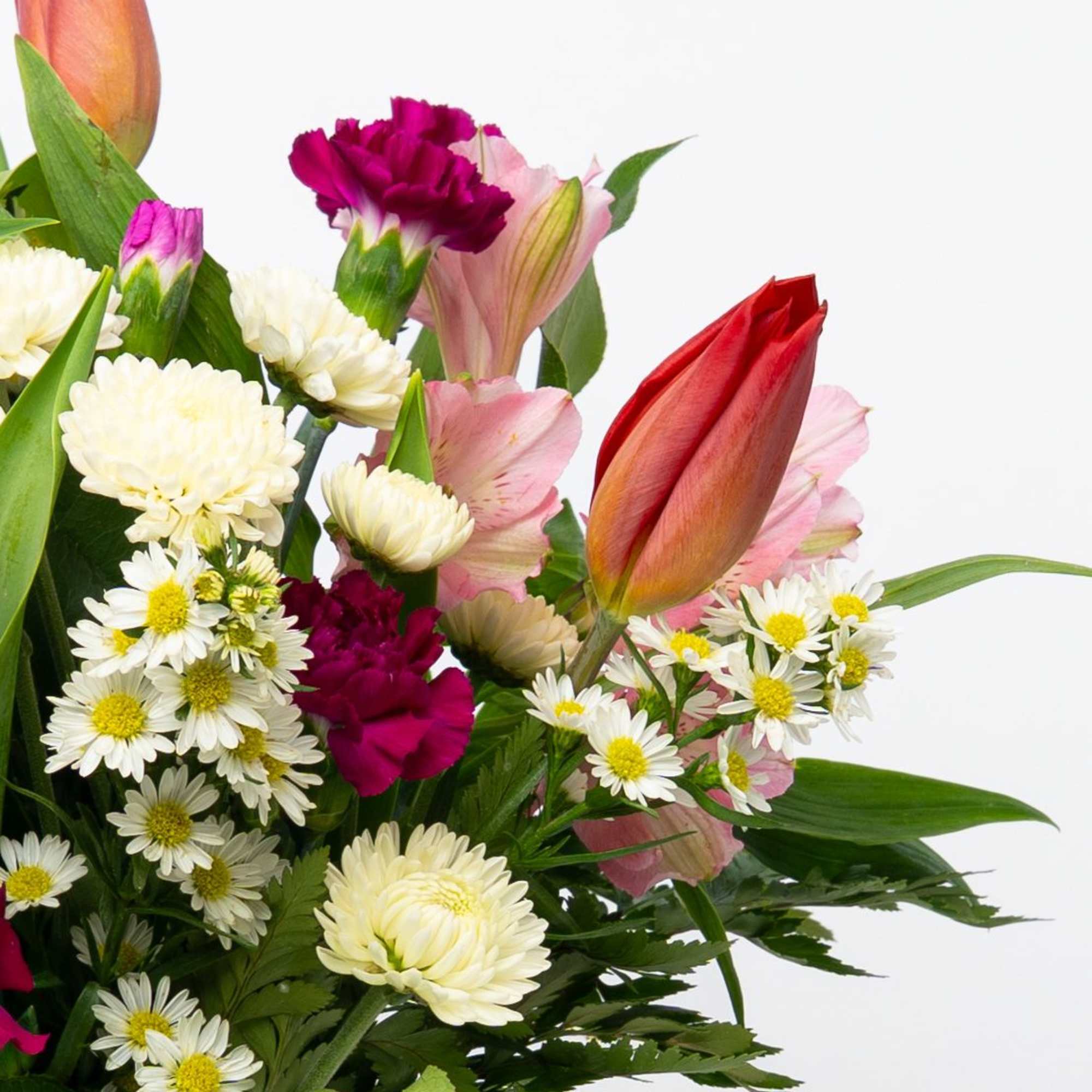 Mixed bouquet with tulips, carnations, and white daisies
