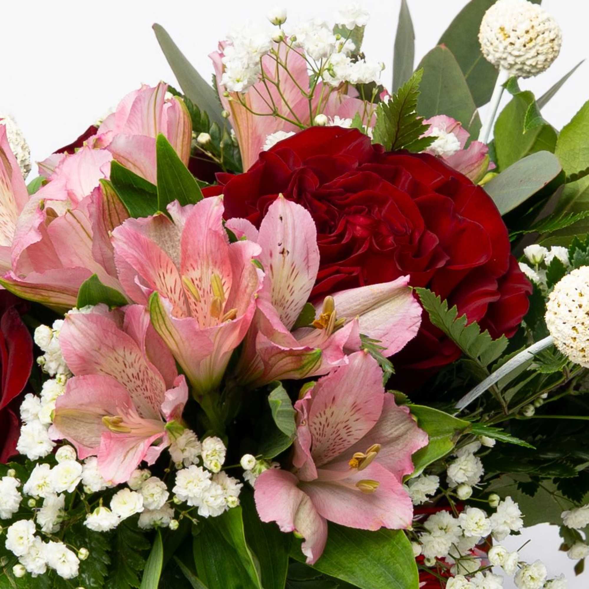 Pink alstroemeria and red roses in a bouquet with white filler flowers