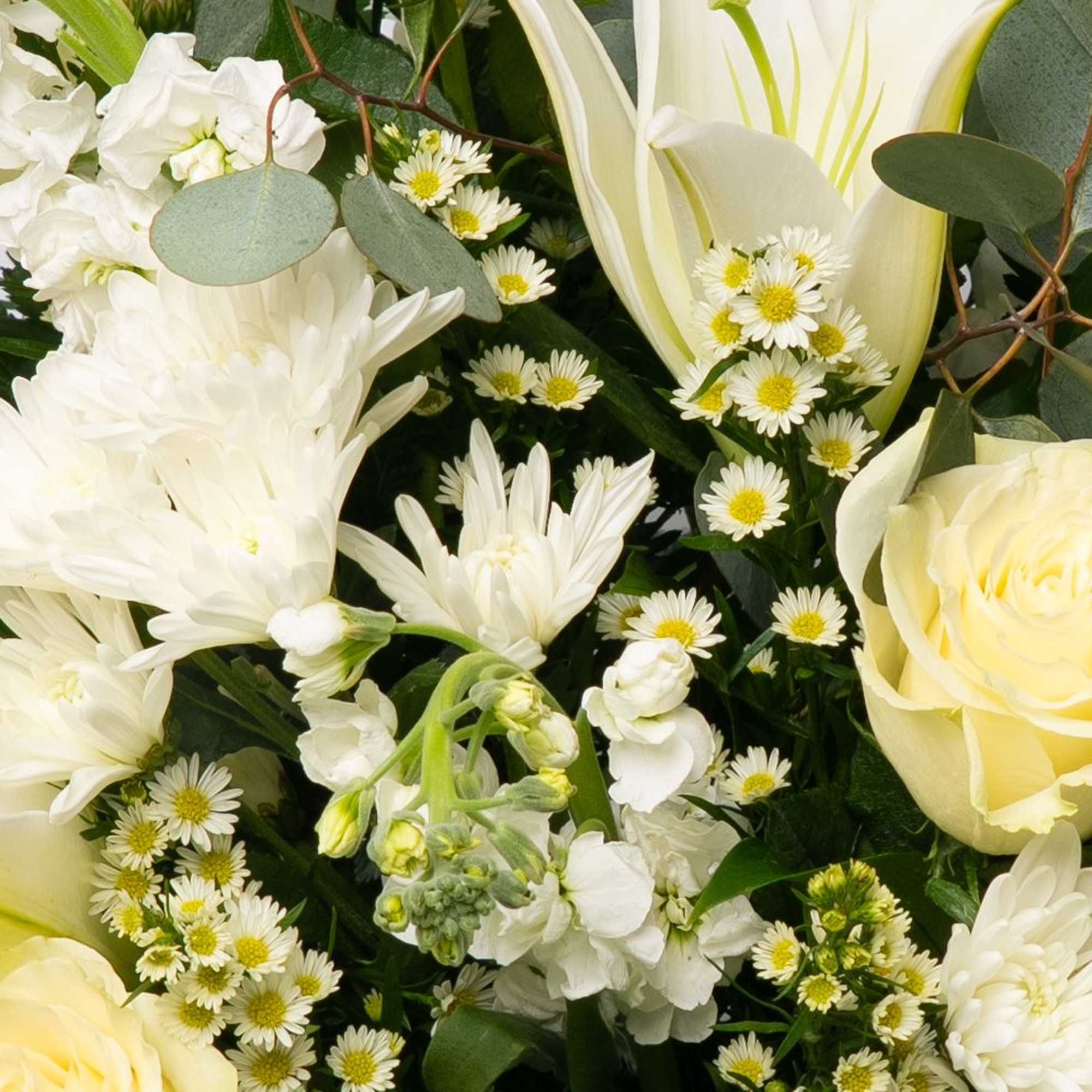 Designed to surround the urn with understated elegance, this best-selling all-white arrangement