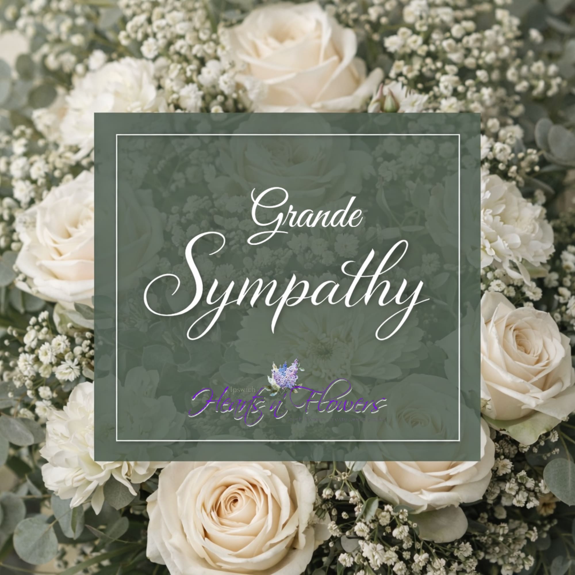 Cream roses and white filler flowers arranged in a sympathy design