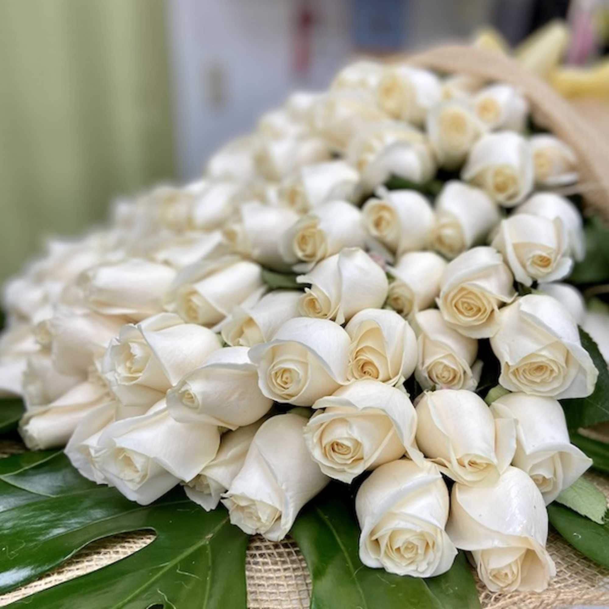 Large bundle of white roses wrapped in burlap and resting on glossy green tropical leaves