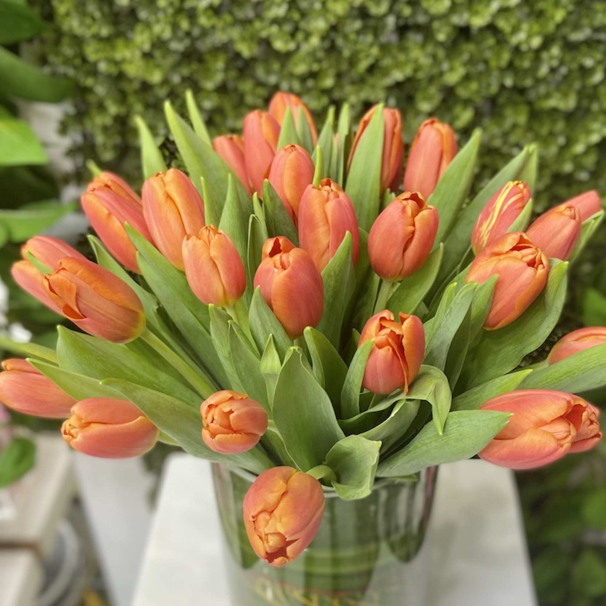 Bouquet of orange tulips arranged in a clear glass cylinder vase