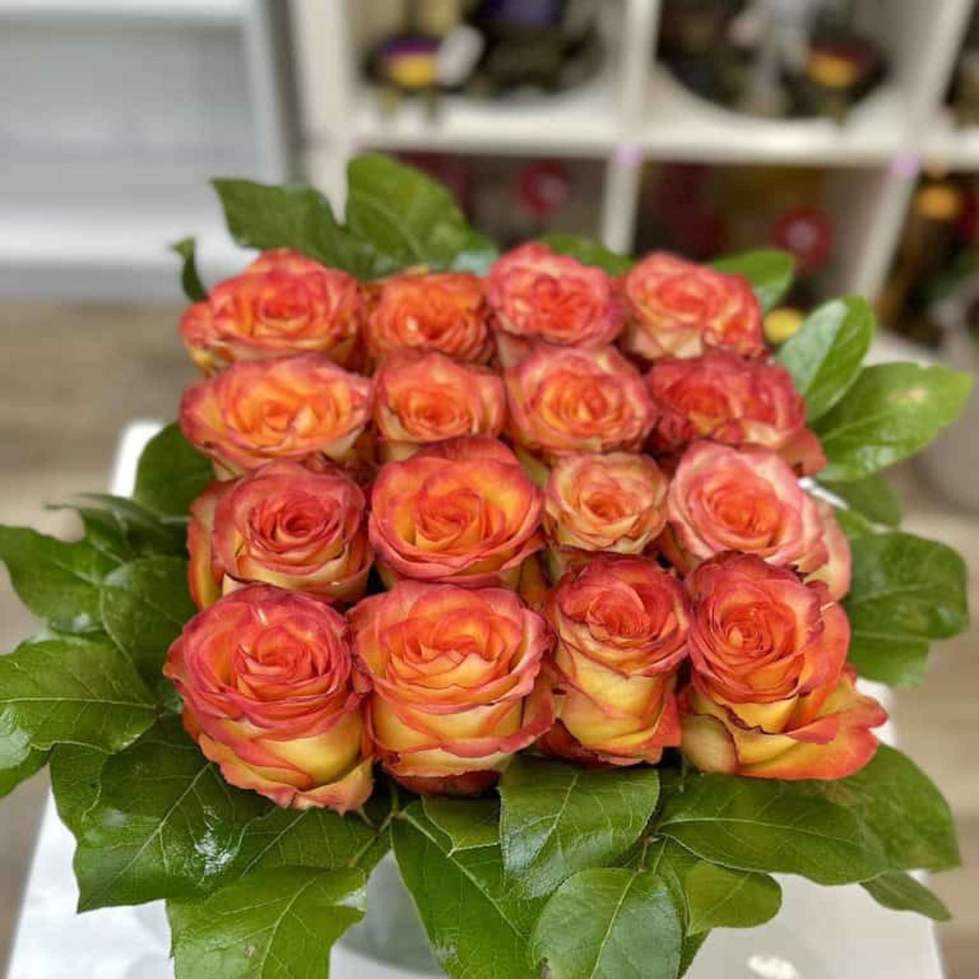 Low arrangement of orange yellow roses tightly packed in a square framed by glossy green leaves