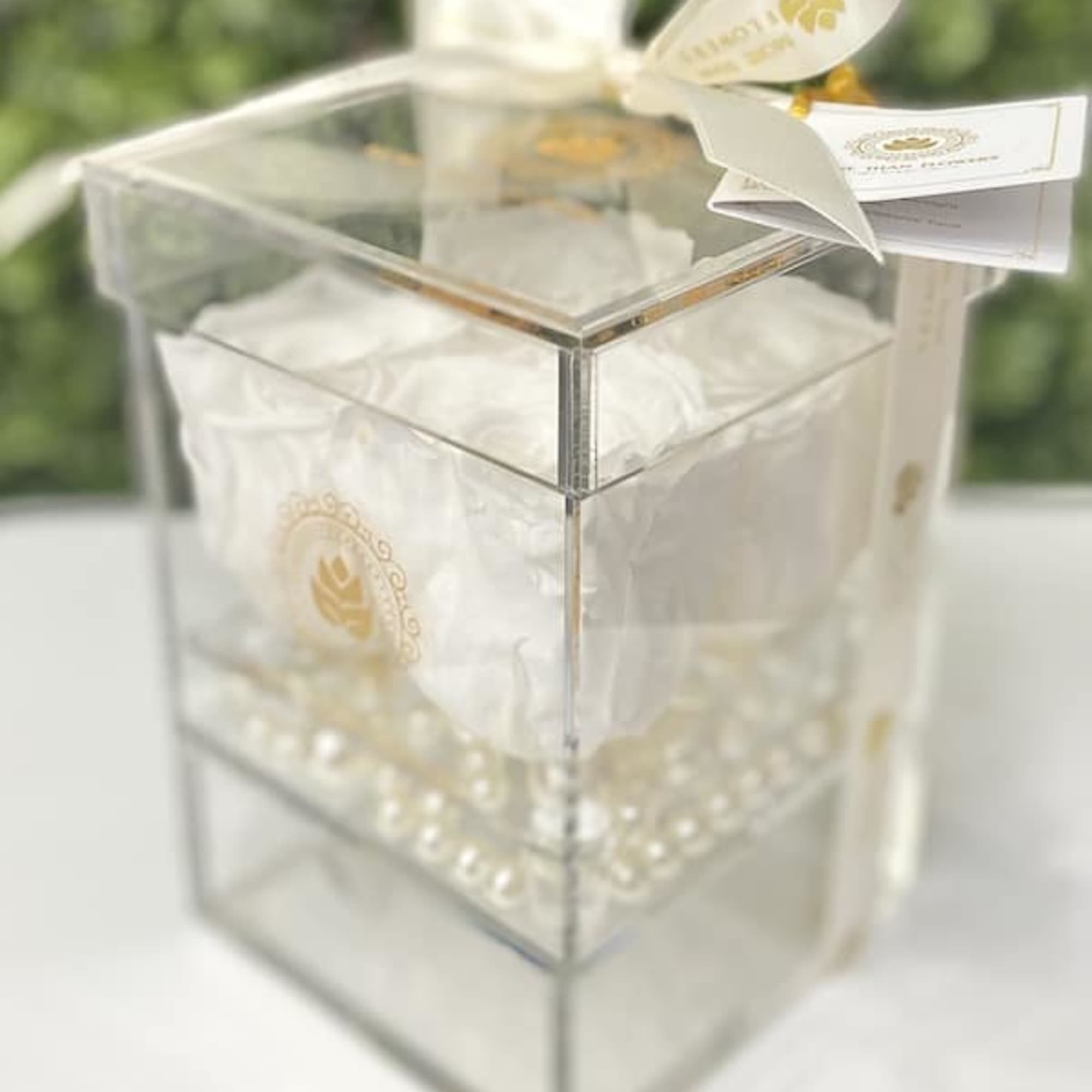 Single white rose in a clear acrylic gift box with pearls and cream ribbon