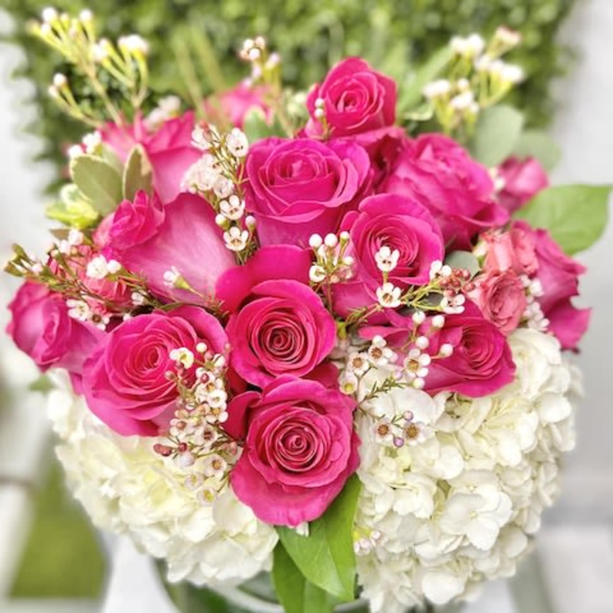 Compact arrangement of hot pink roses and small blooms over white hydrangeas in a clear glass vase
