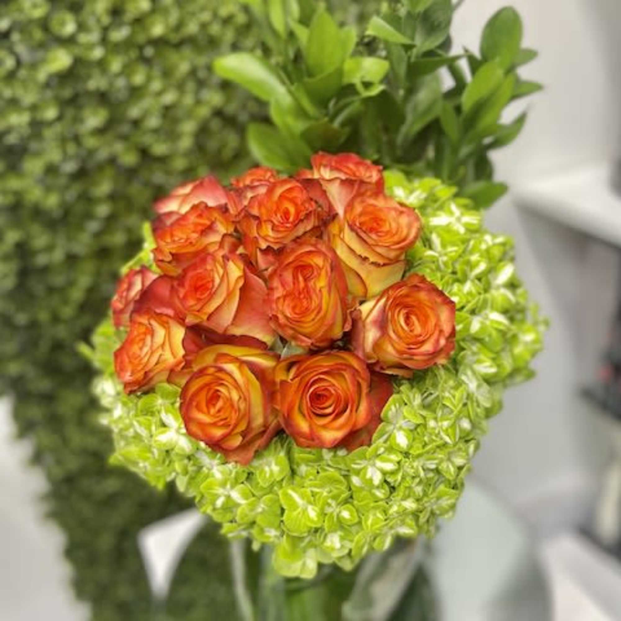 Orange roses clustered atop green hydrangeas in a tall clear vase