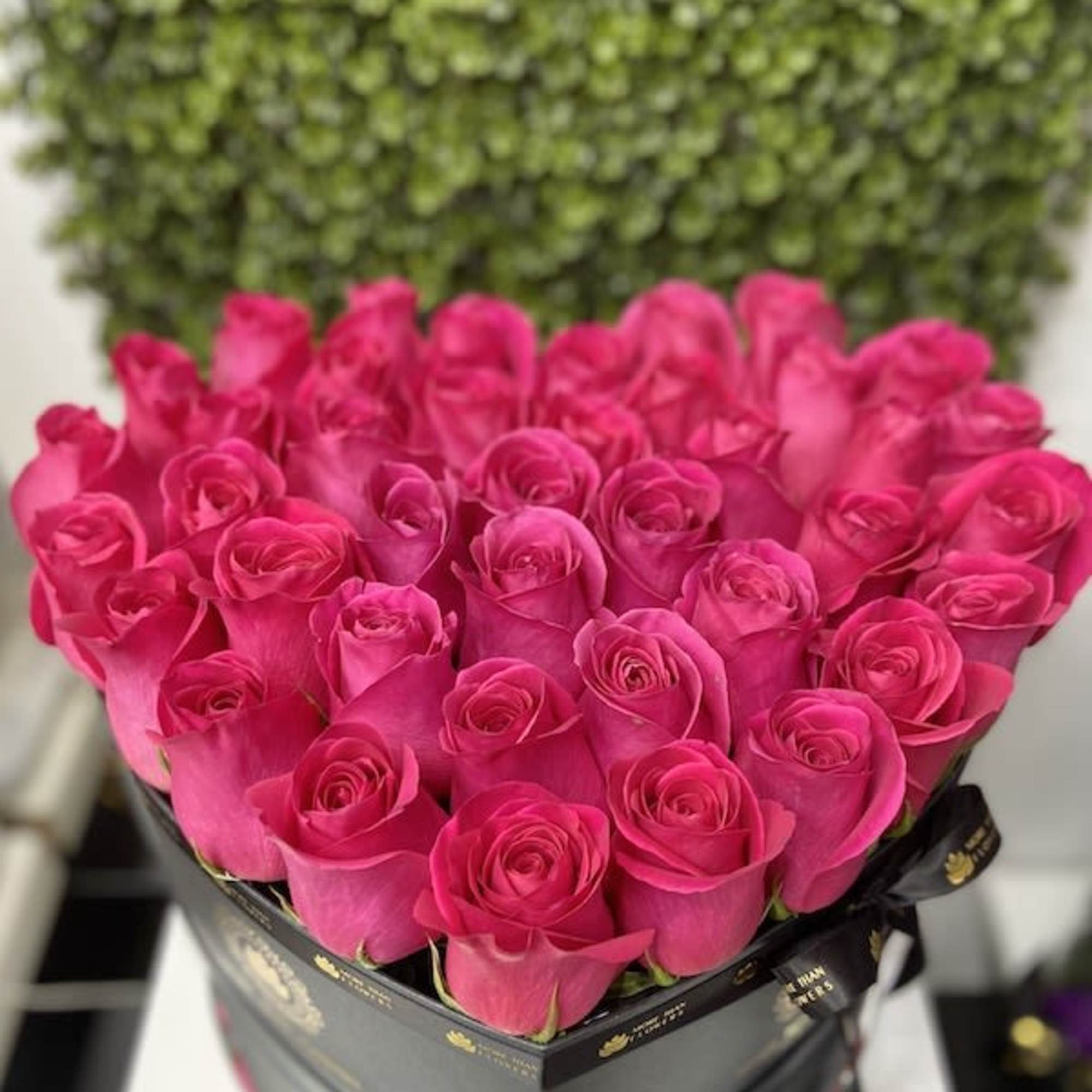 Heart-shaped box of hot pink roses arranged tightly in a black hatbox with ribbon.