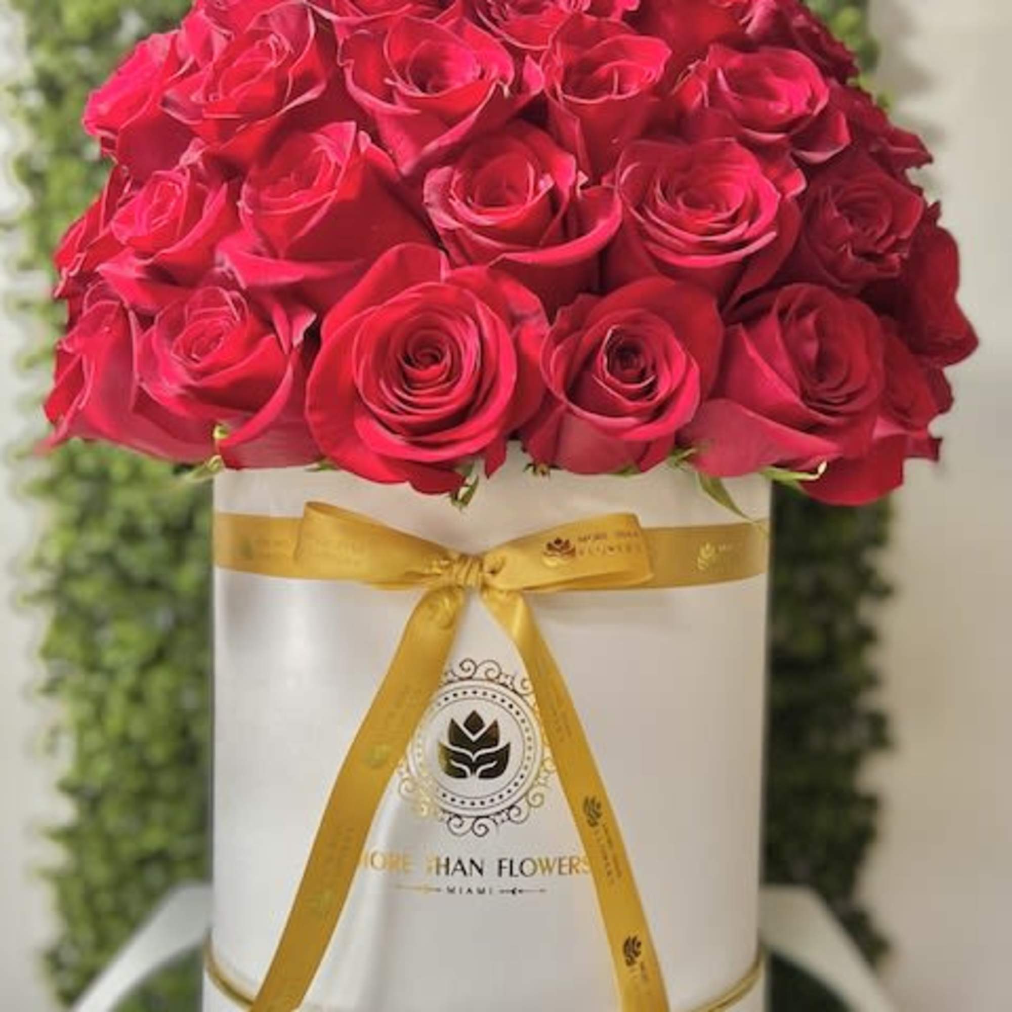 Round box of tightly packed red roses with a gold ribbon on a white hatbox.