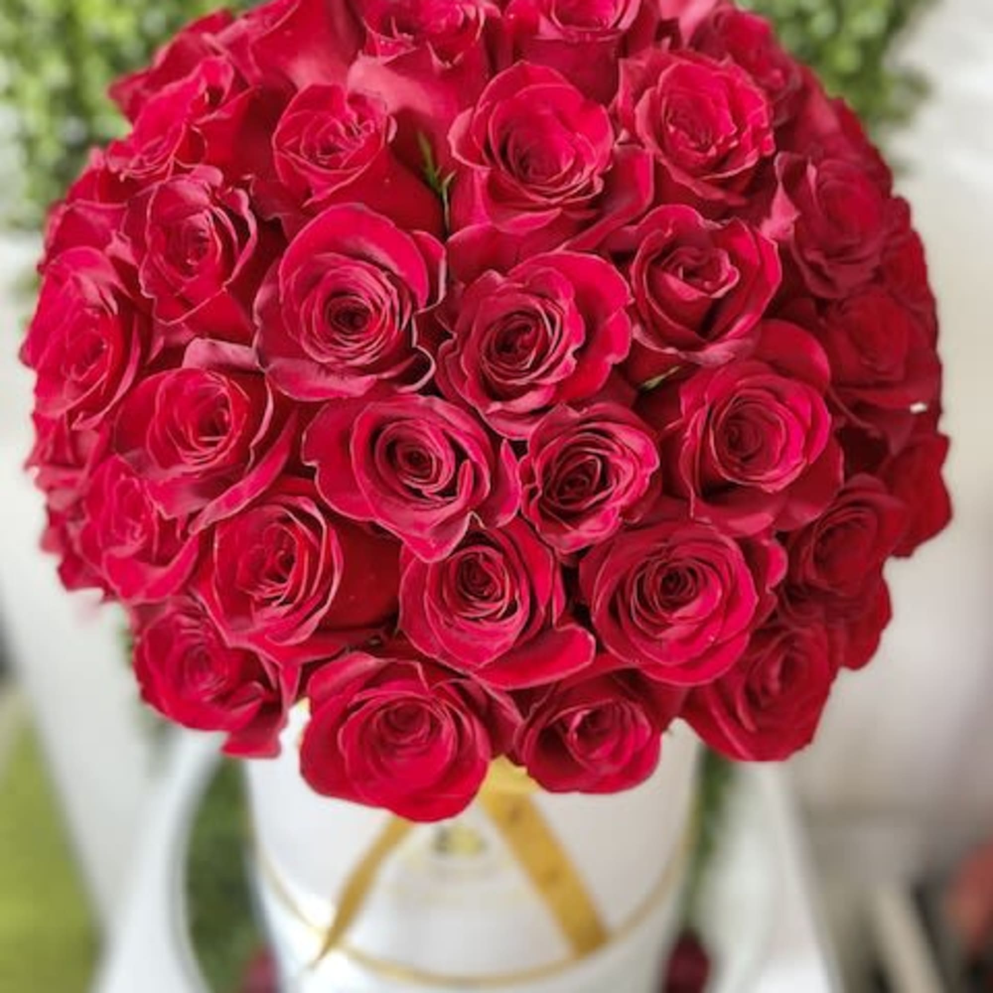 Large round arrangement of bright red roses in a white hatbox-style container