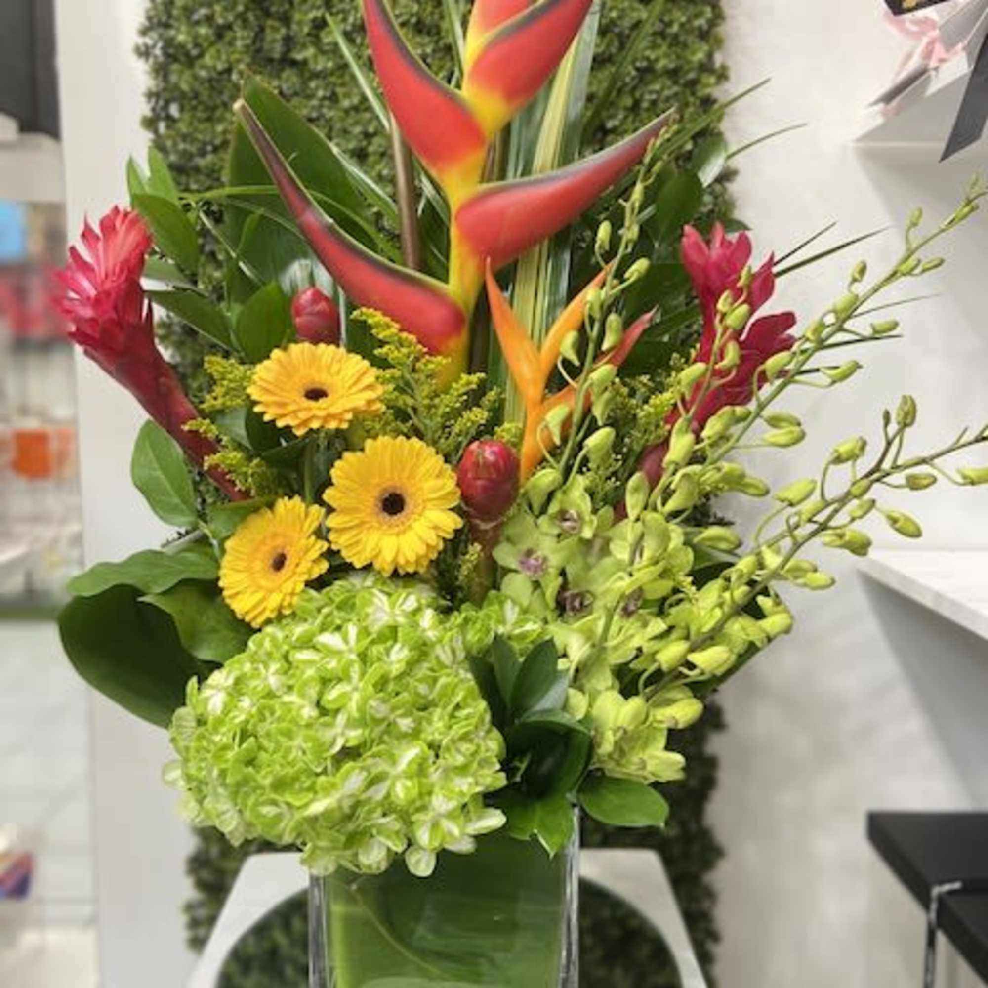 Tall tropical arrangement with red heliconia, yellow gerberas and green hydrangea in a square glass vase