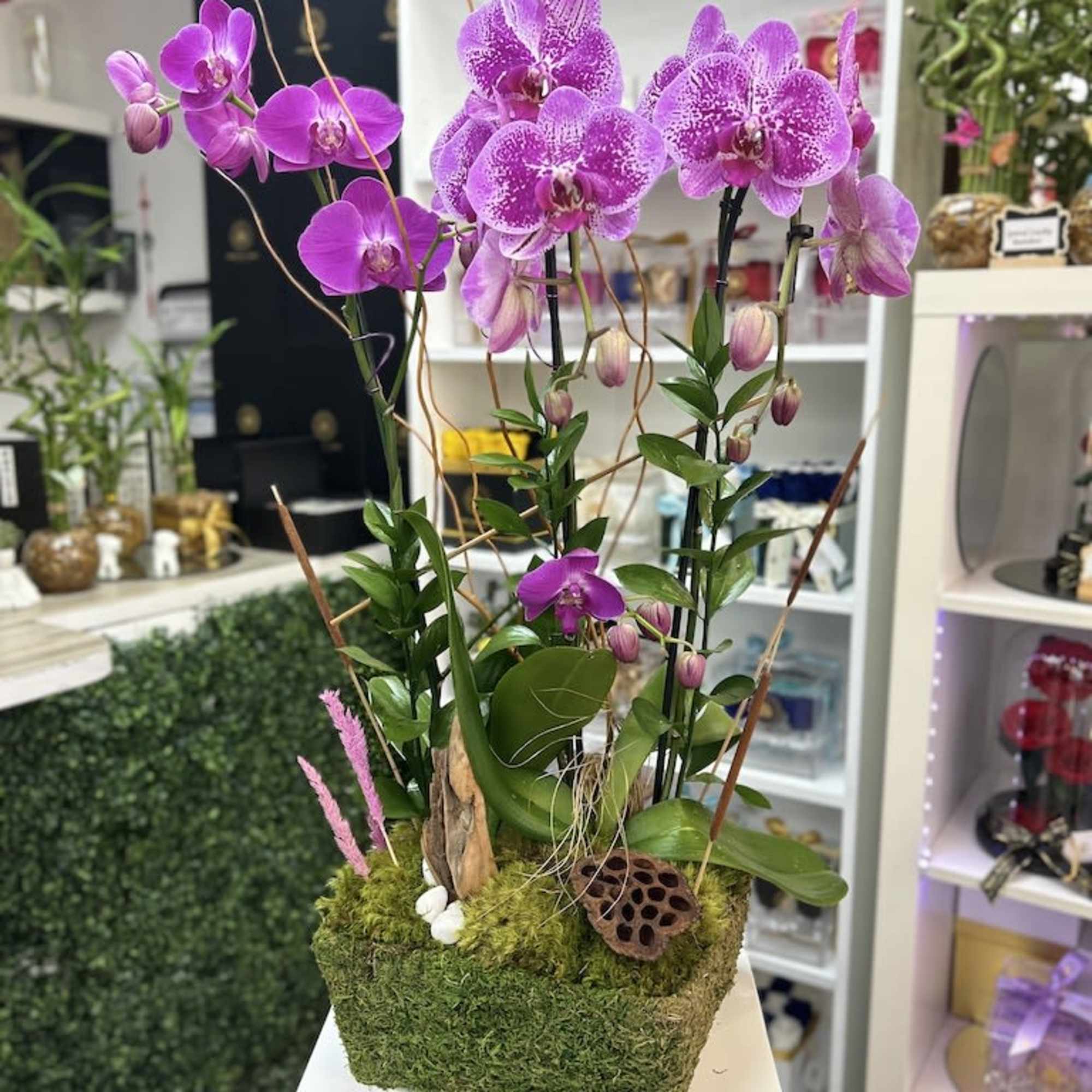 Potted arrangement of bright pink orchids in a moss-covered rectangular planter with natural accents