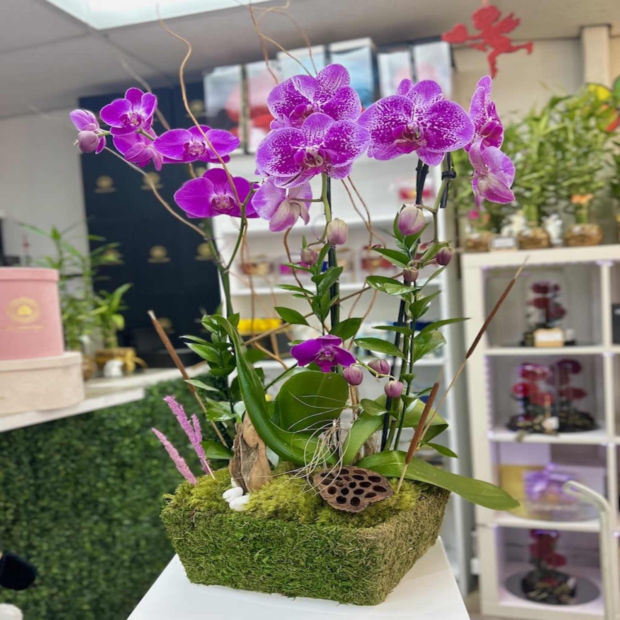 Rectangular moss-covered planter with bright purple orchids and decorative accents.