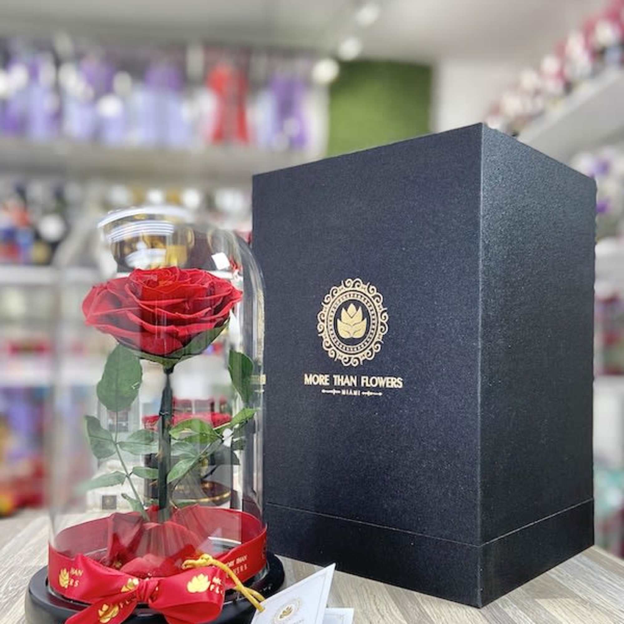 Single red rose under a glass dome with red ribbon beside a black gift box.