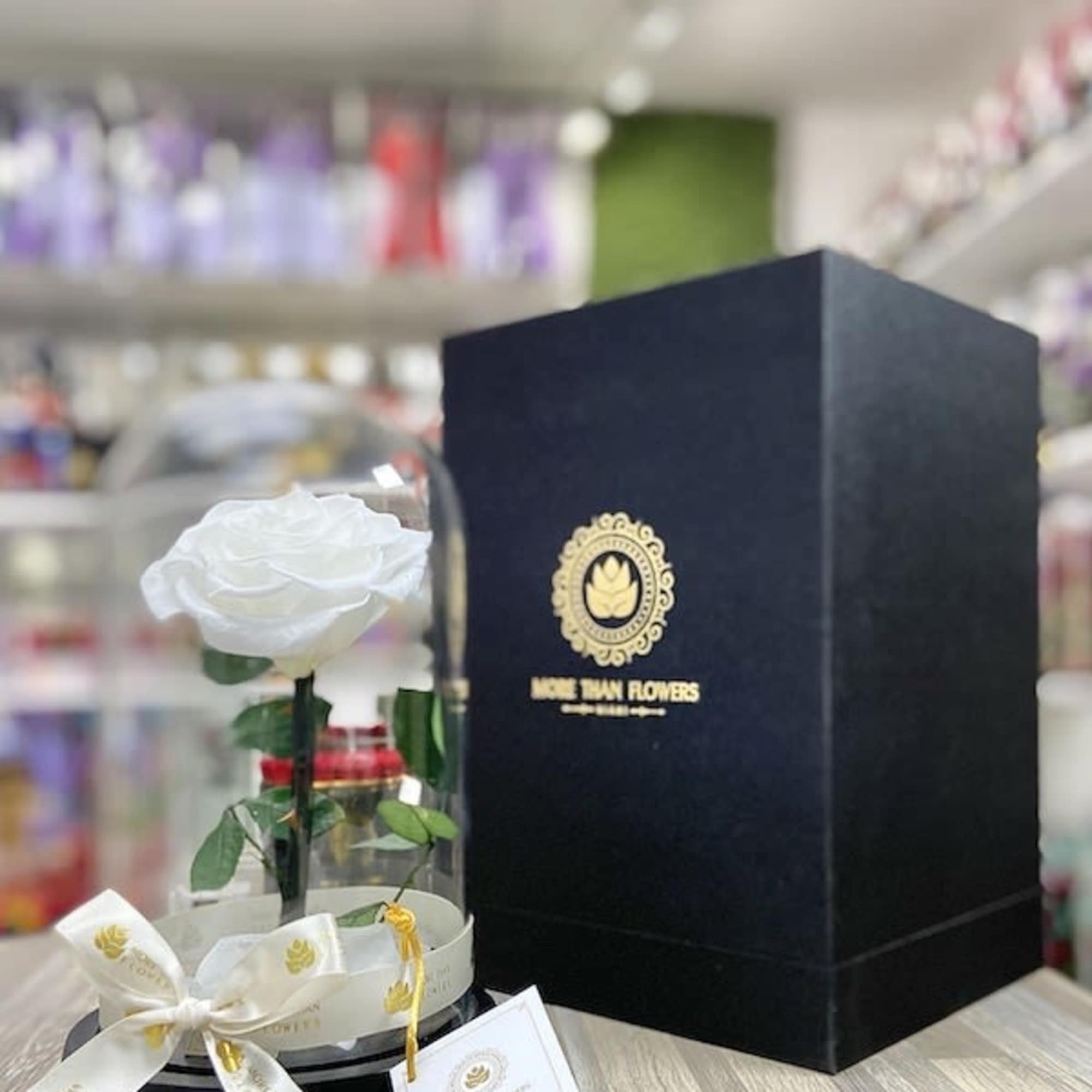 Single white rose under a glass dome with ribbon and black gift box on a wooden surface