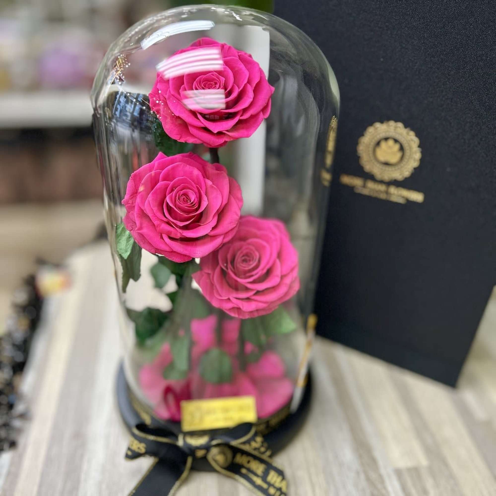 Three bright pink roses under a clear glass dome on a black base with ribbon.