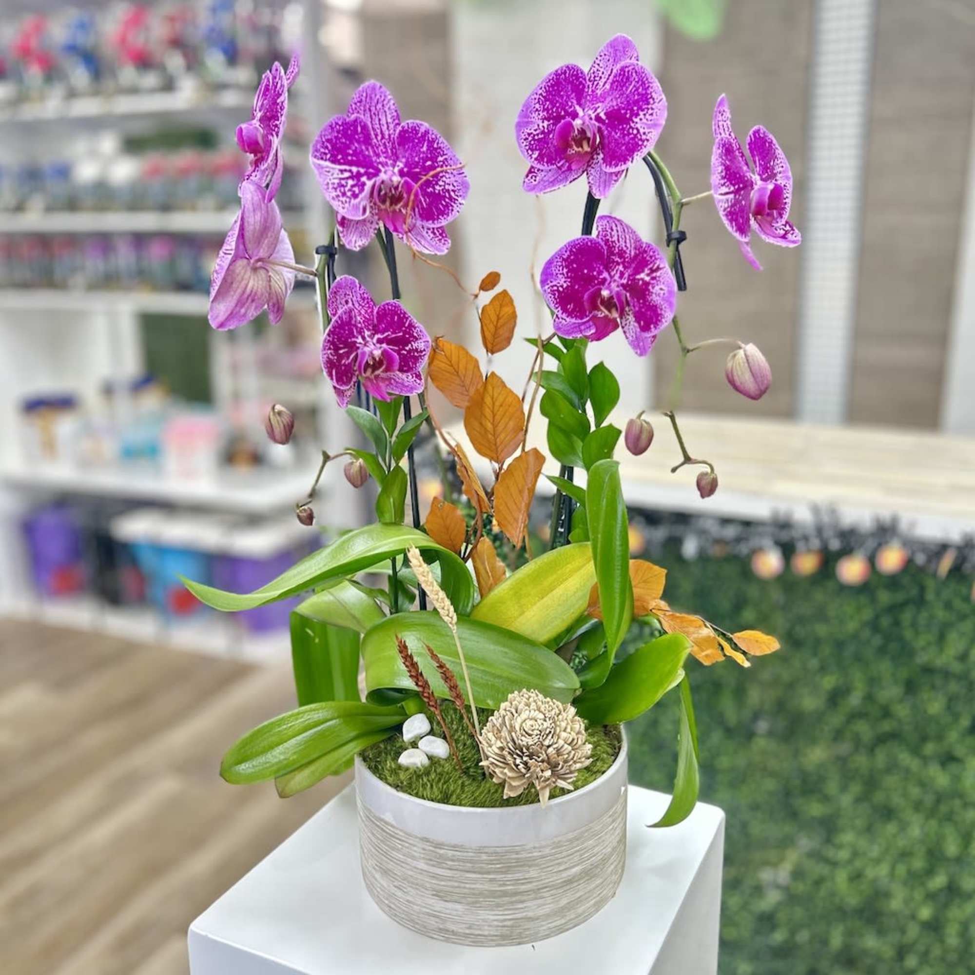 Potted purple orchid plant with orange accents in a round white container