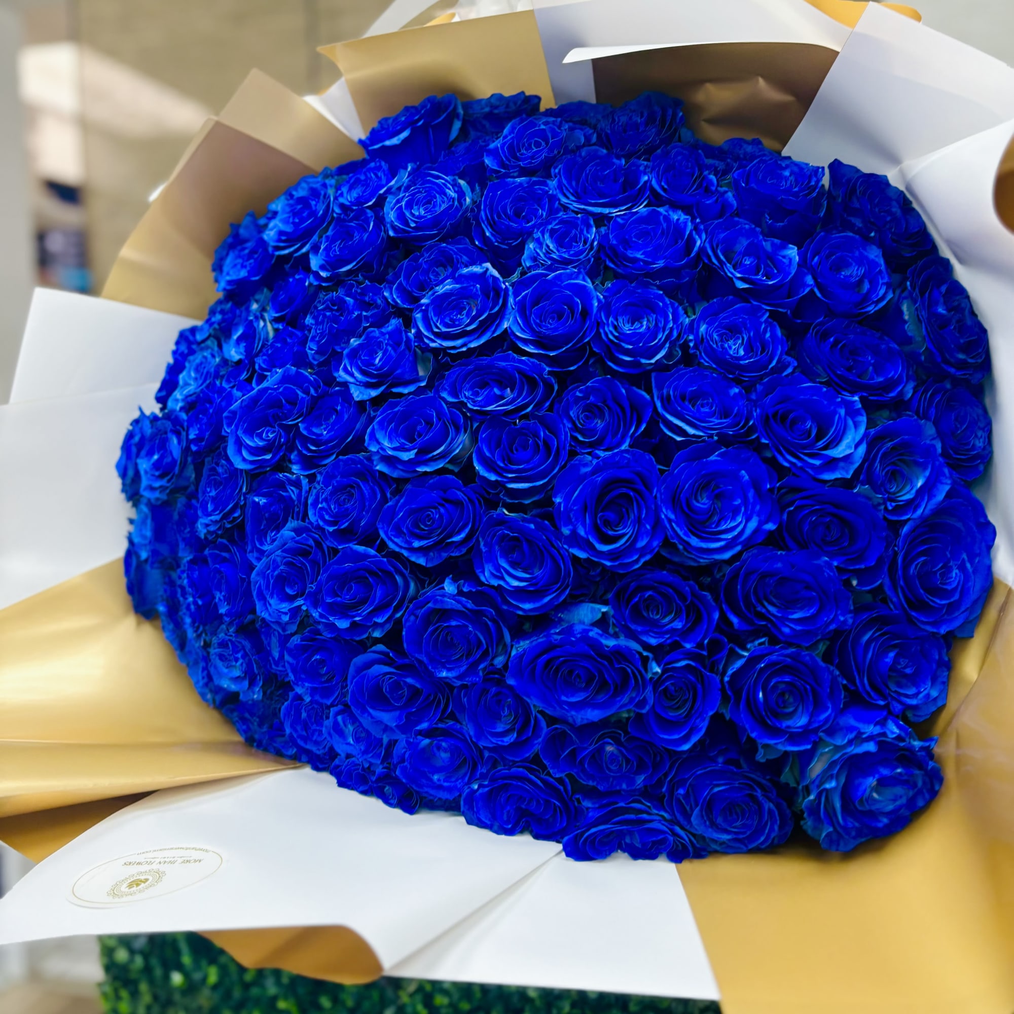 Large wrapped bouquet of vivid blue roses clustered tightly in white and gold paper
