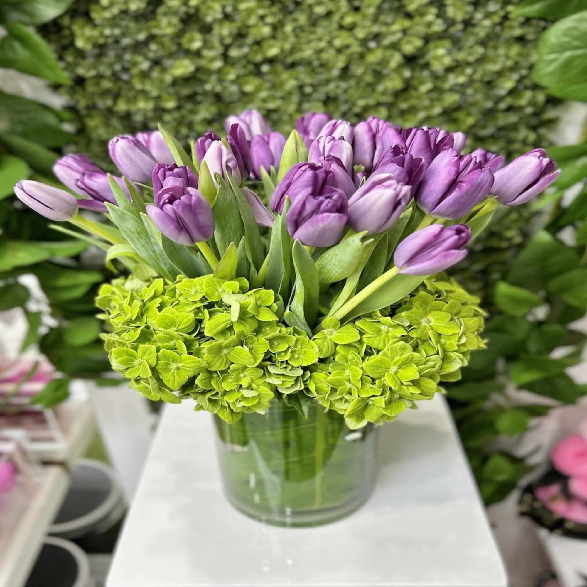 Arrangement of purple tulips with green hydrangeas in a clear glass vase