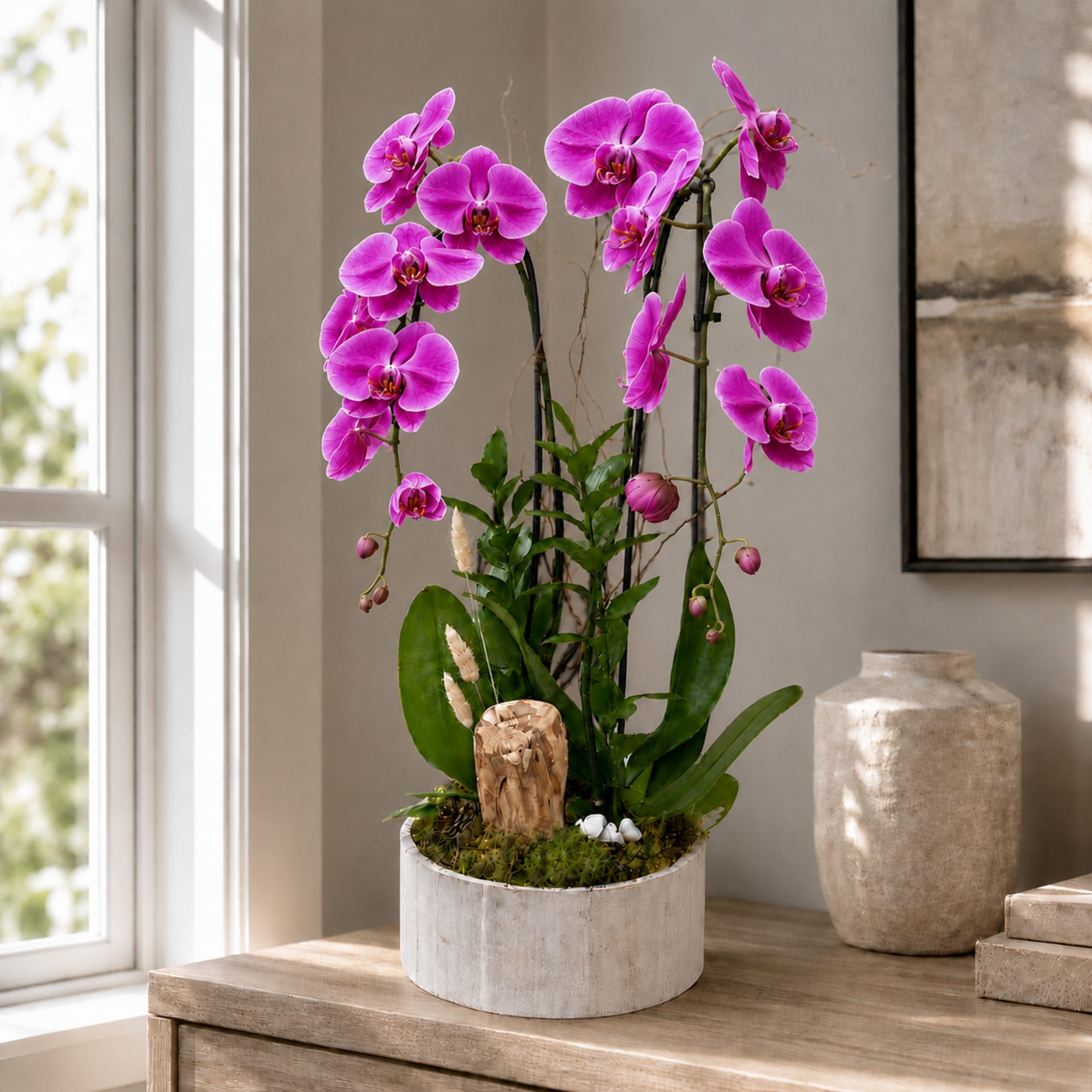 Phalaenopsis Twin Stems Orchid Plant: Beautiful Twin orchids in a clear vase/wooden