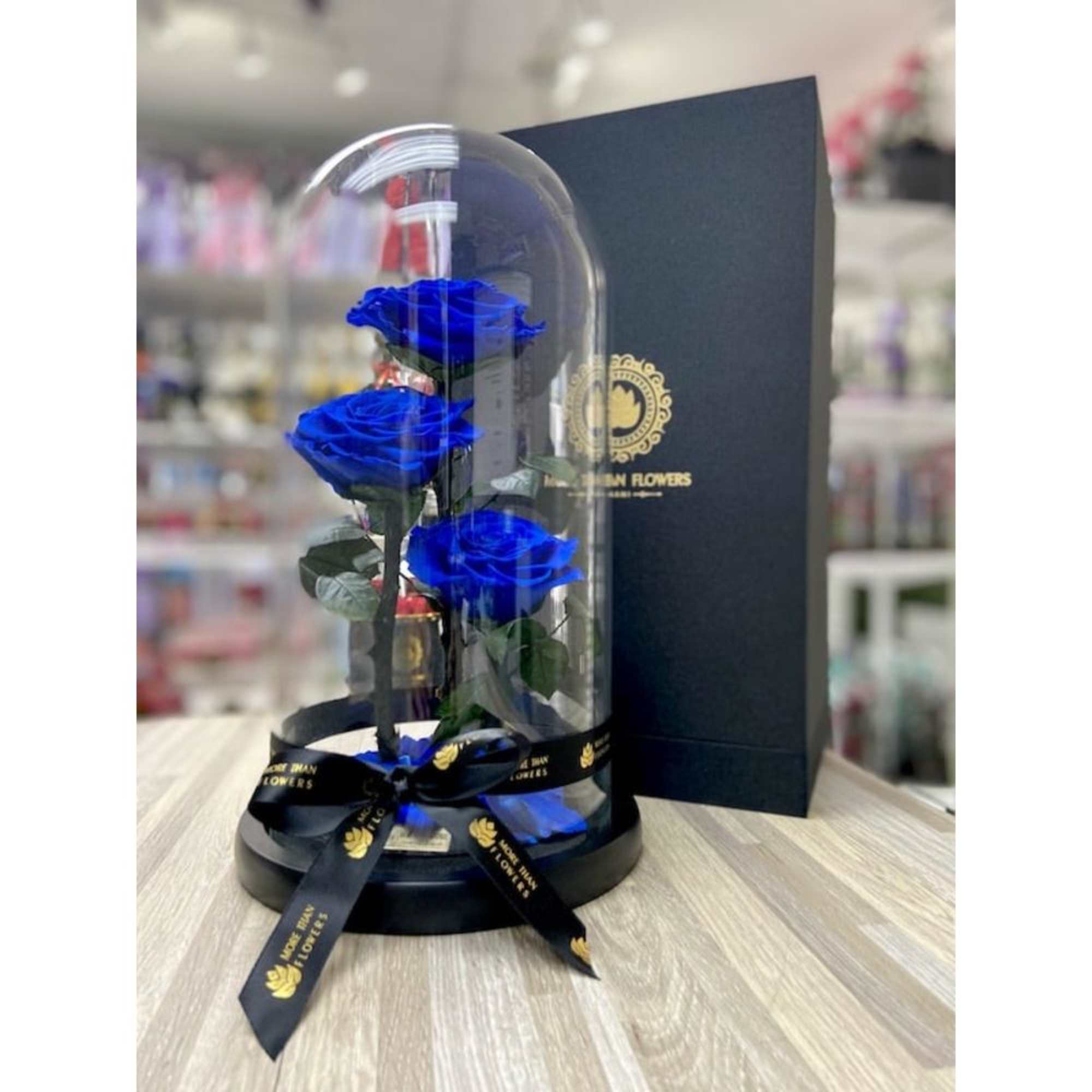 Three vivid blue roses under a glass dome on a black base with ribbon and gift box behind