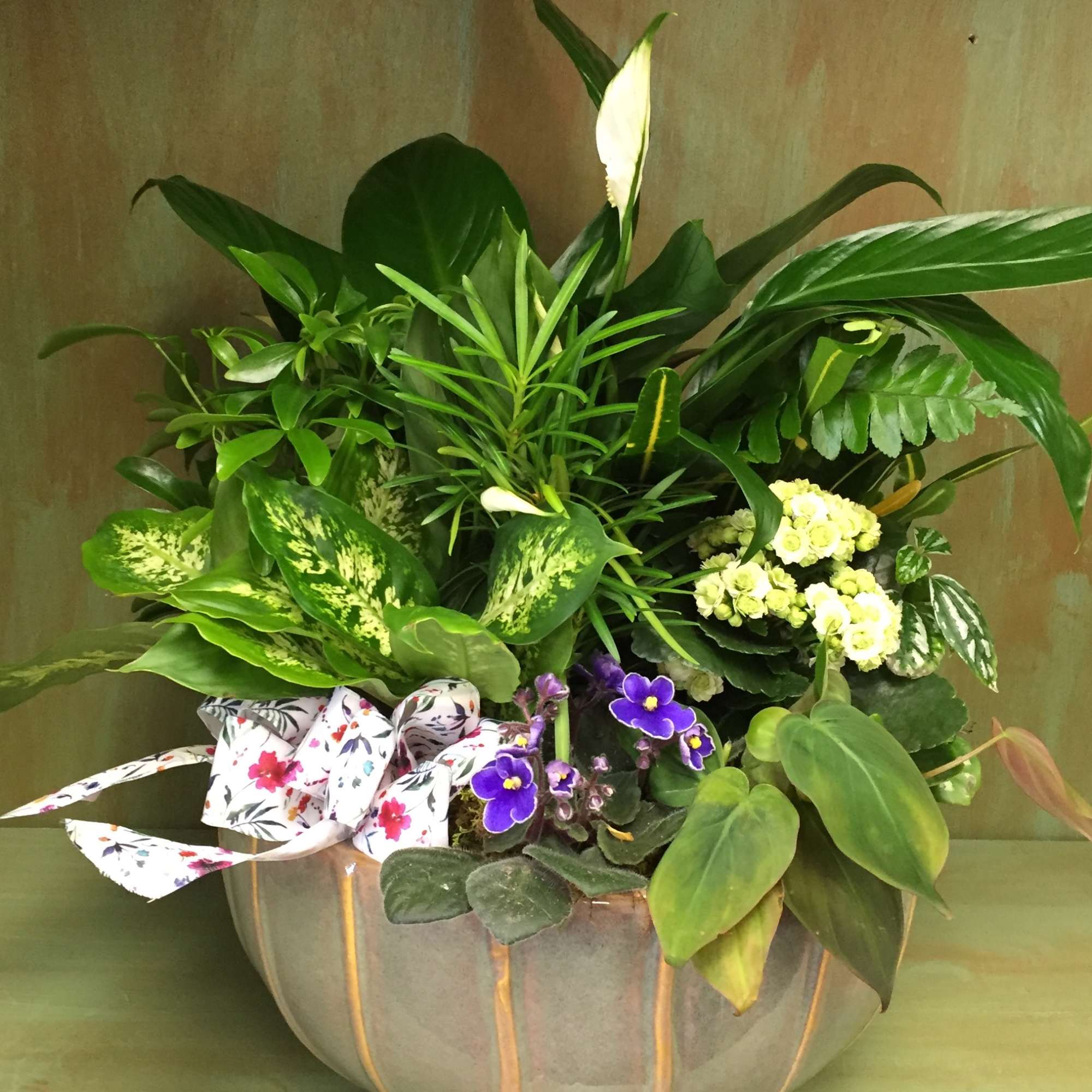 Mixed green plant arrangement in a round ceramic bowl with a patterned ribbon