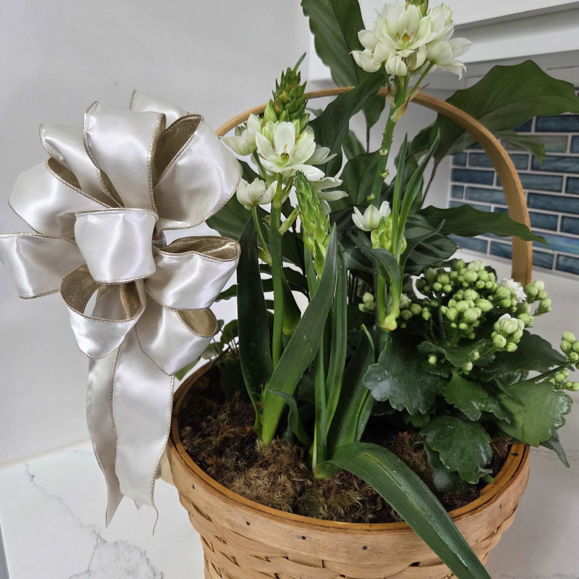 A variety of interesting plants in a basket for any occasion finished