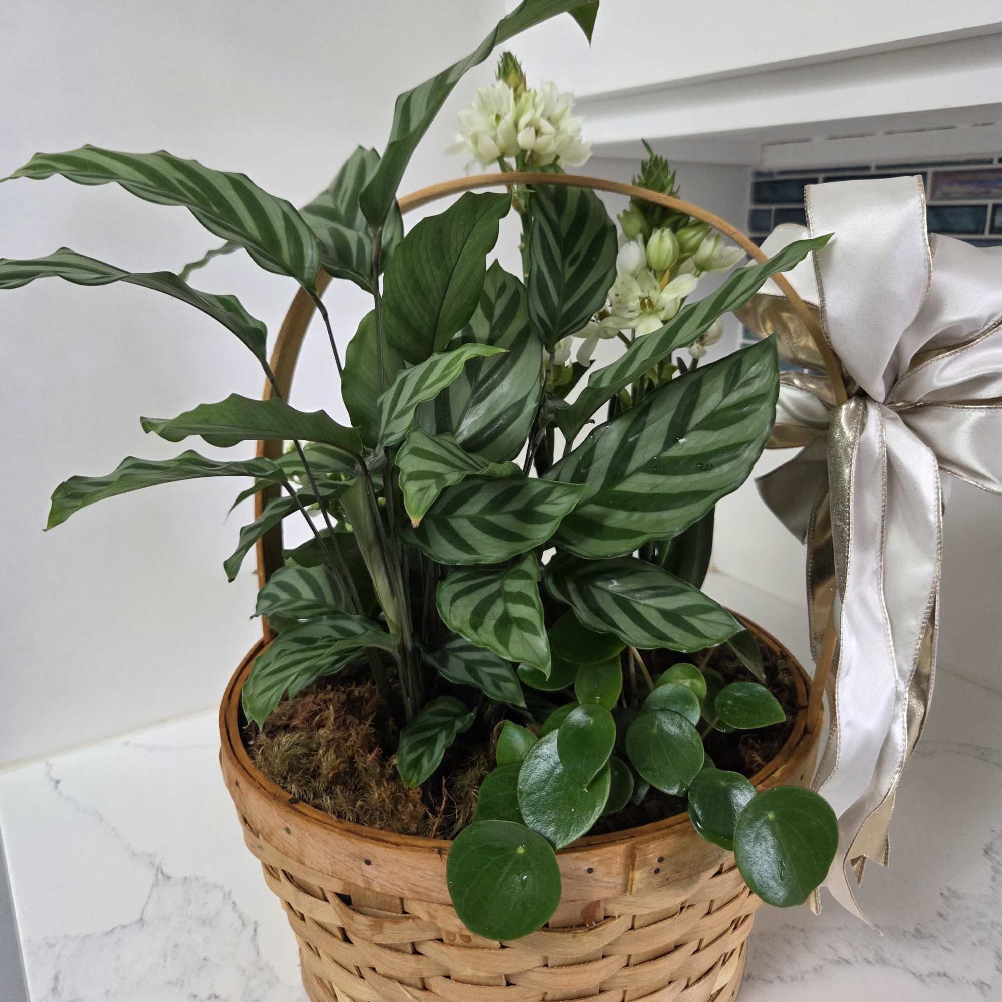 A variety of interesting plants in a basket for any occasion finished, photo 2 of 2