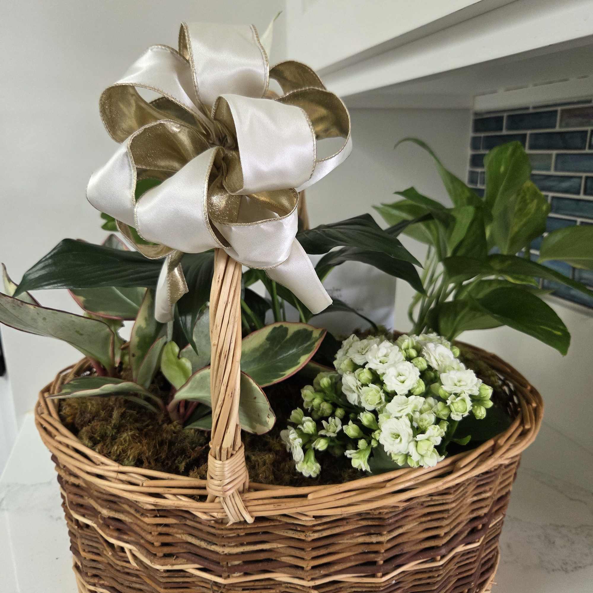 A variety of interesting plants in a basket for any occasion finished