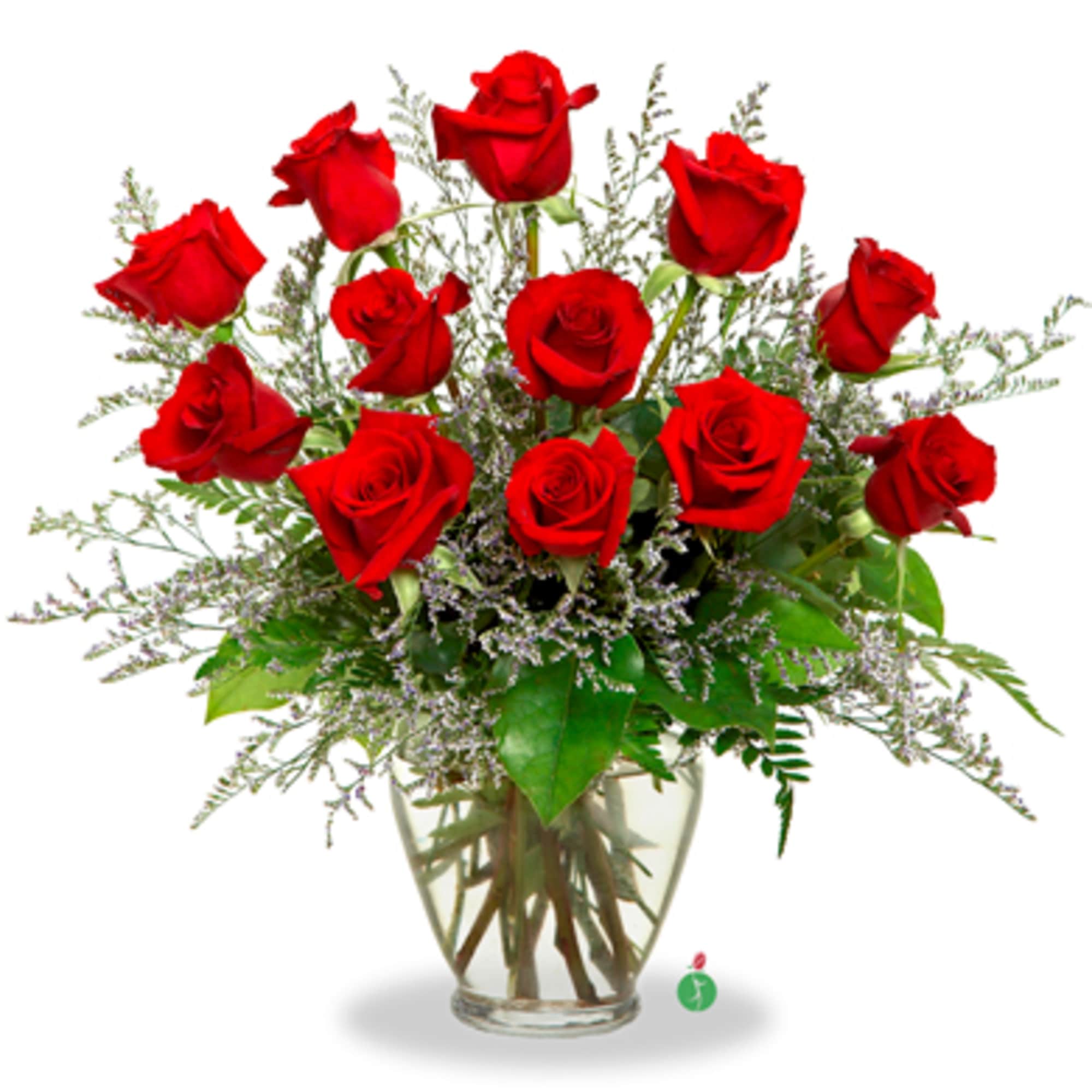 A charming bouquet of a dozen fresh and fragrant red roses, adorned