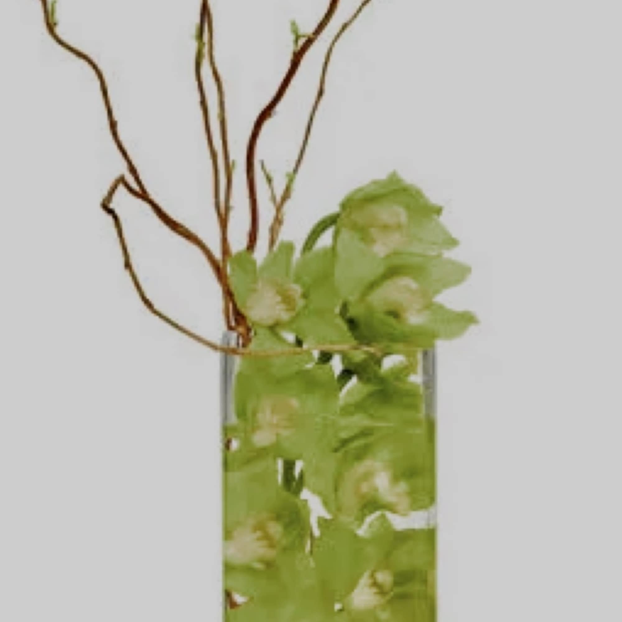 Tall glass vase with green orchids and curly branches