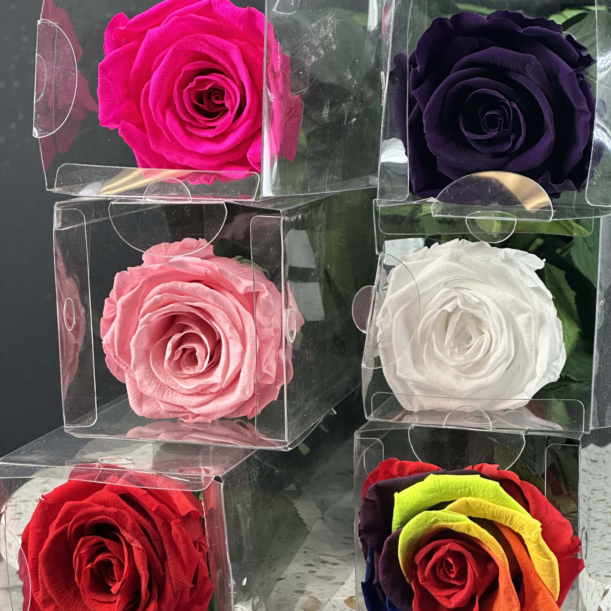Premium preserved roses  in assorted colors ,beautiful presentation to last for