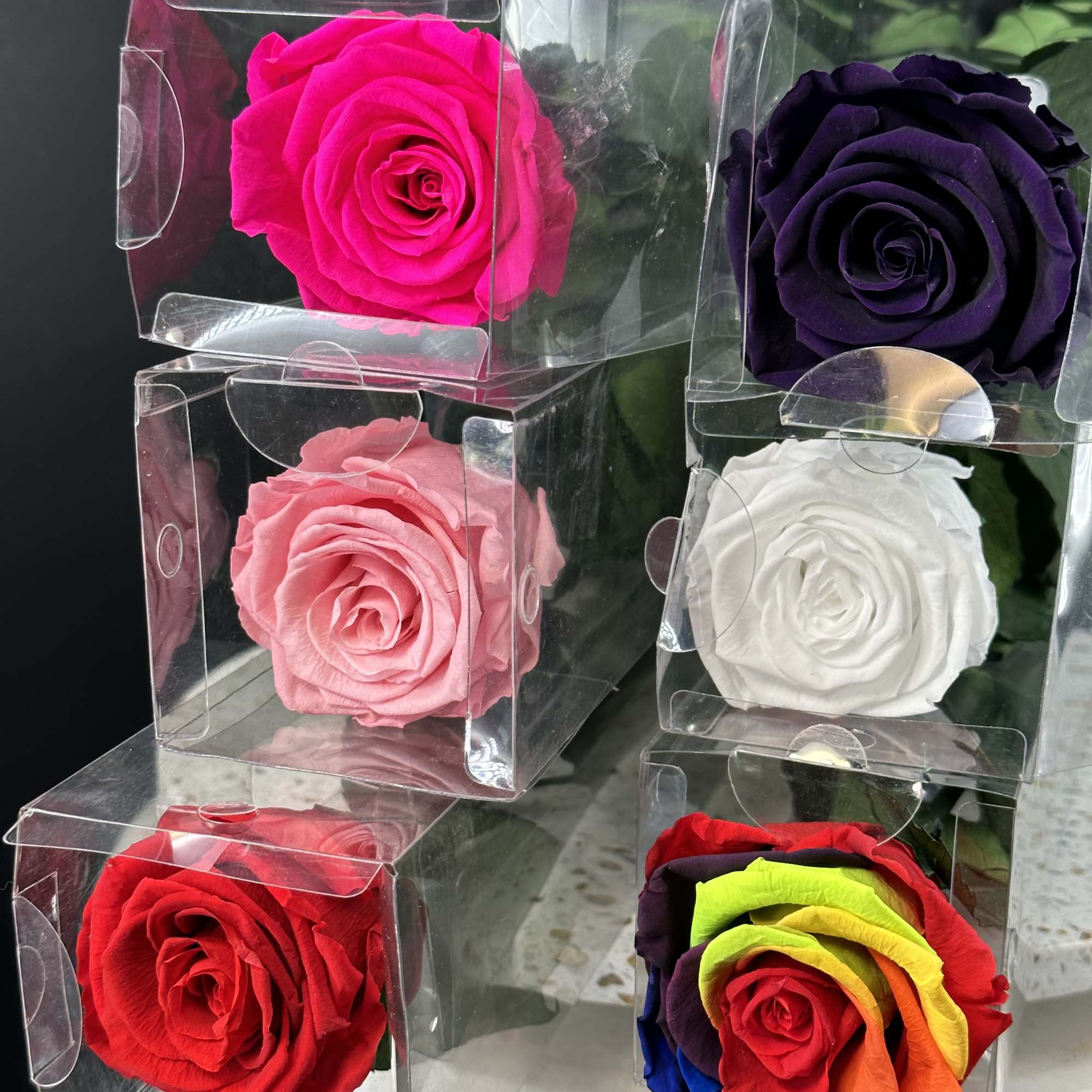 Premium preserved roses  in assorted colors ,beautiful presentation to last for