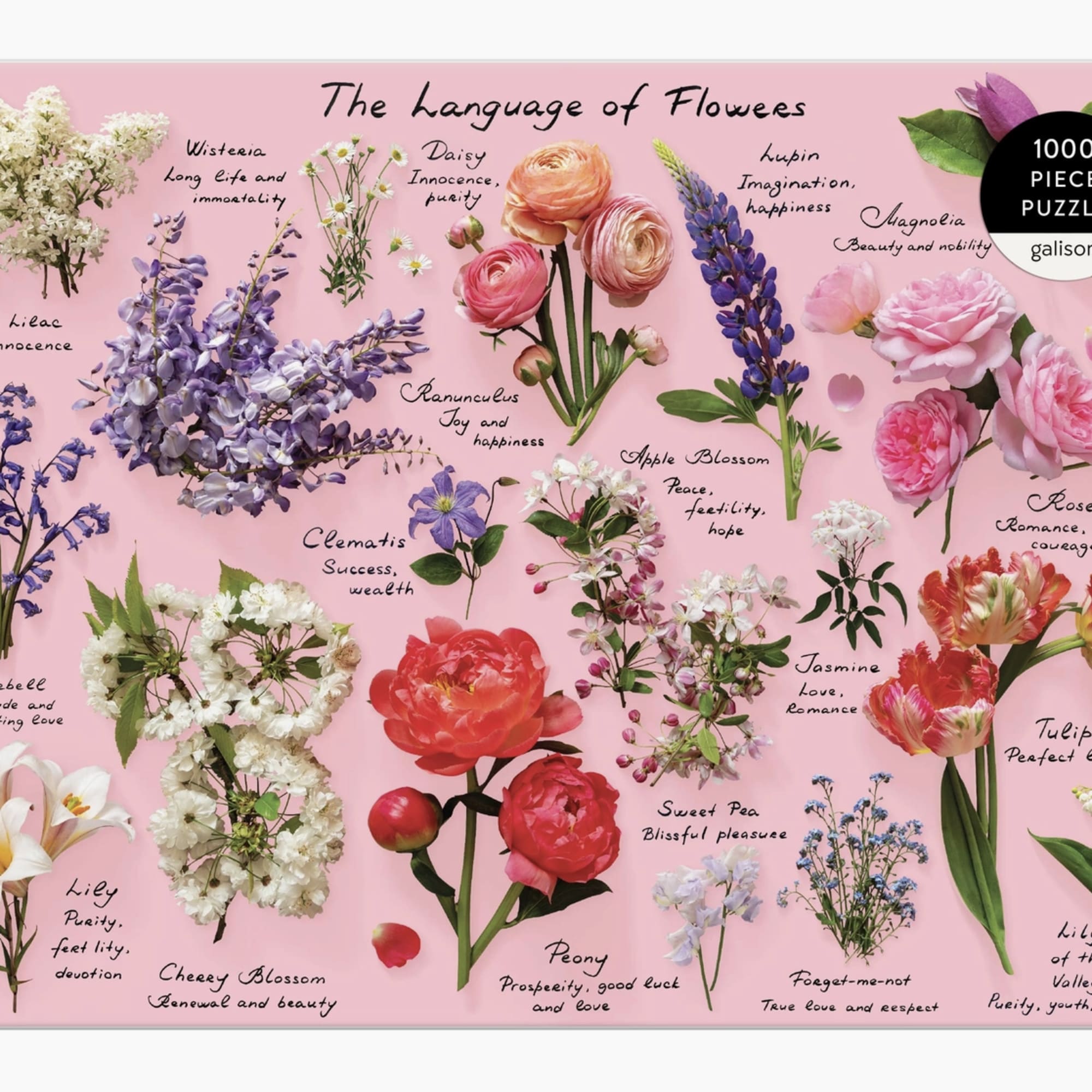 Pink floral language poster with assorted flowers and handwritten labels
