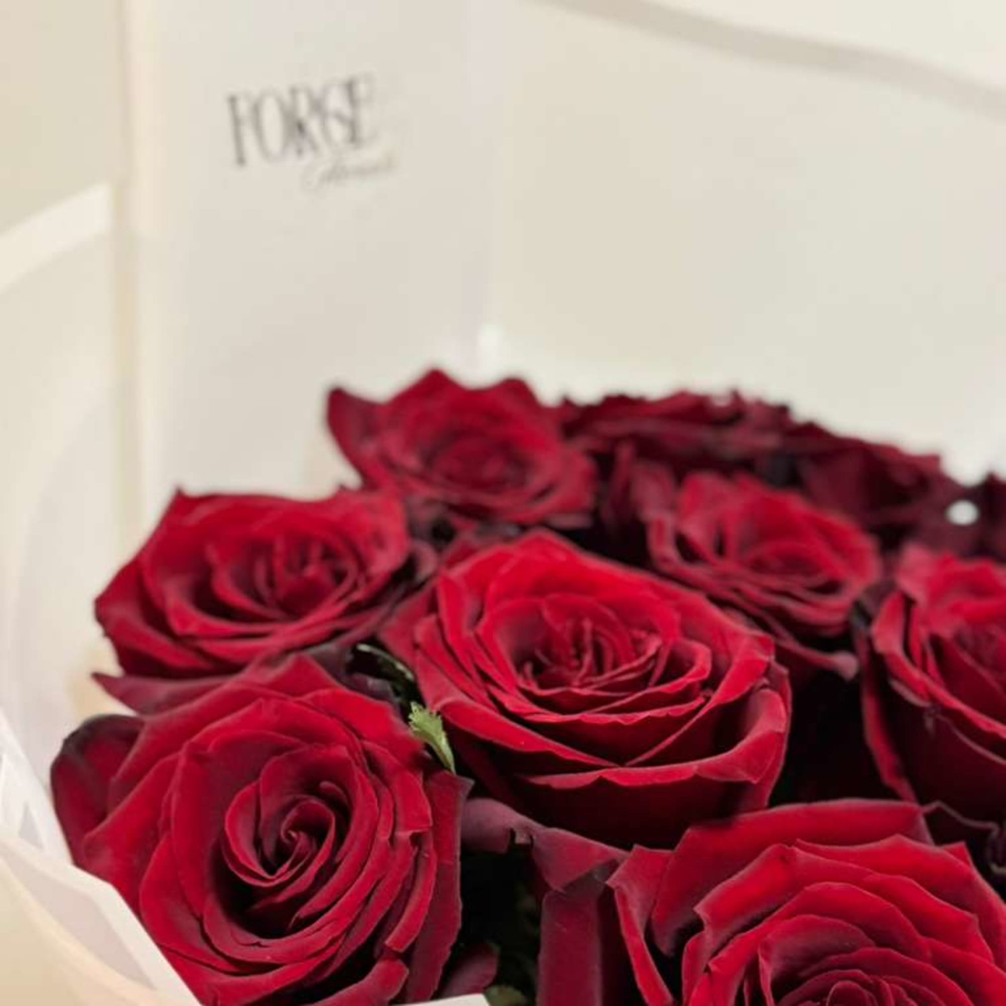 A timeless bouquet of 12 velvety red roses, wrapped in soft blush, photo 2 of 3