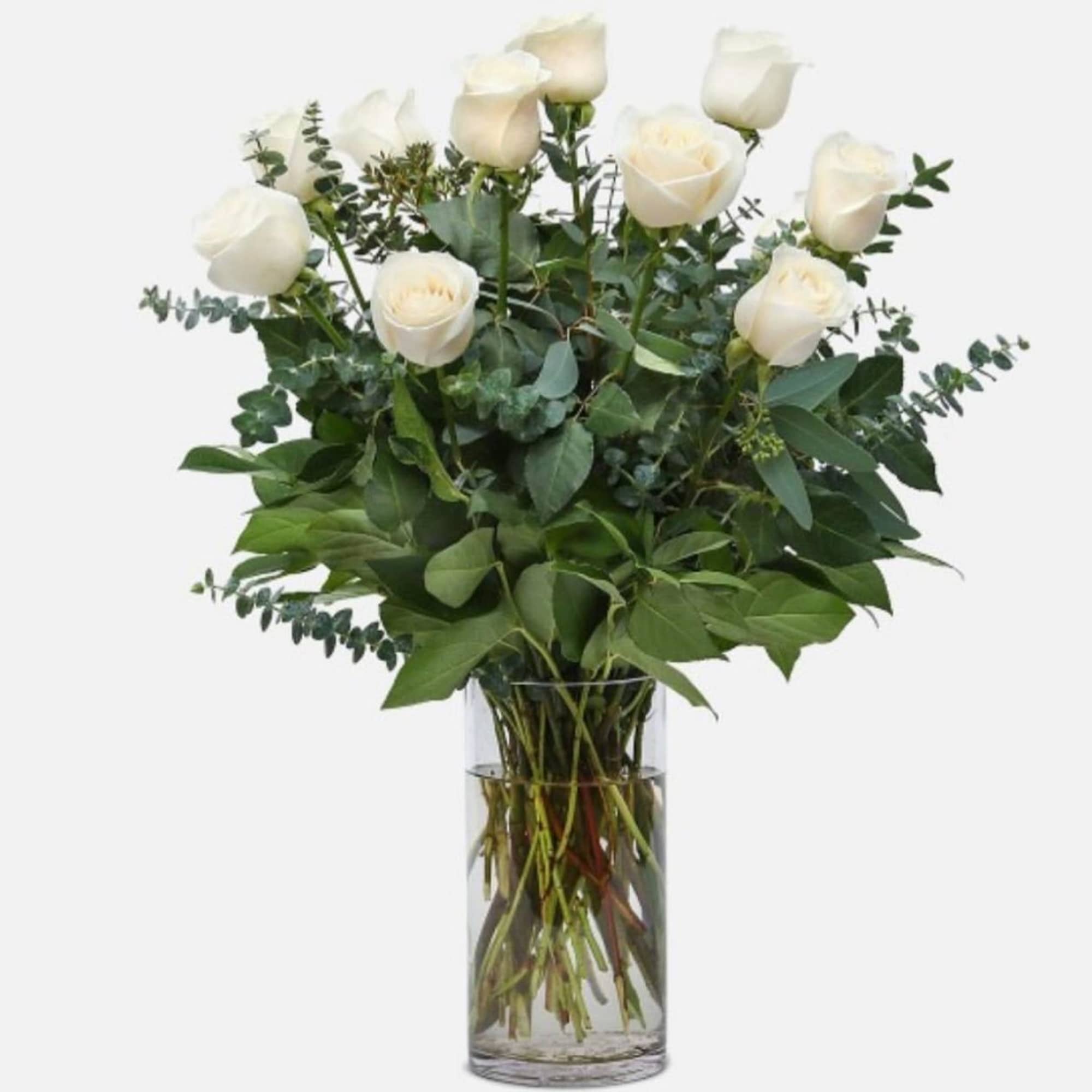 dozen white in a vase with eucalyptus 