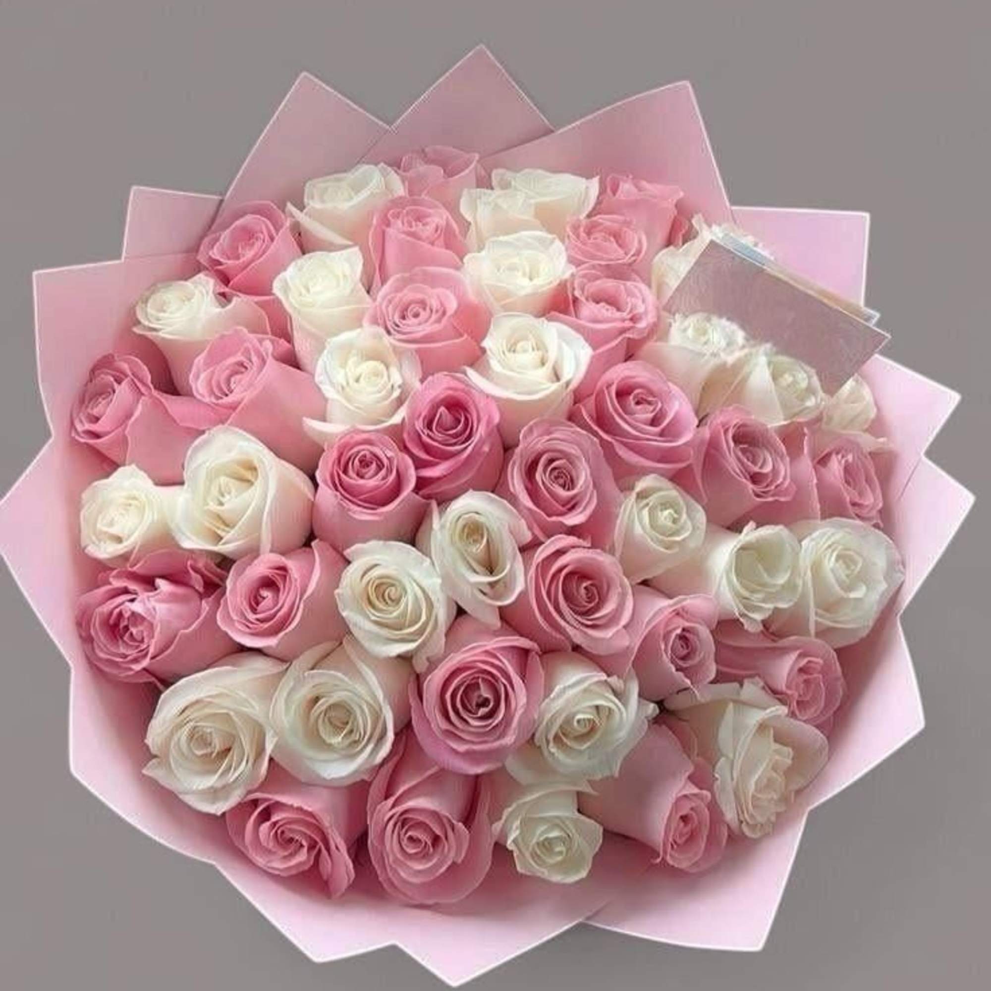 A lush dome of tightly packed pink and white roses creates an