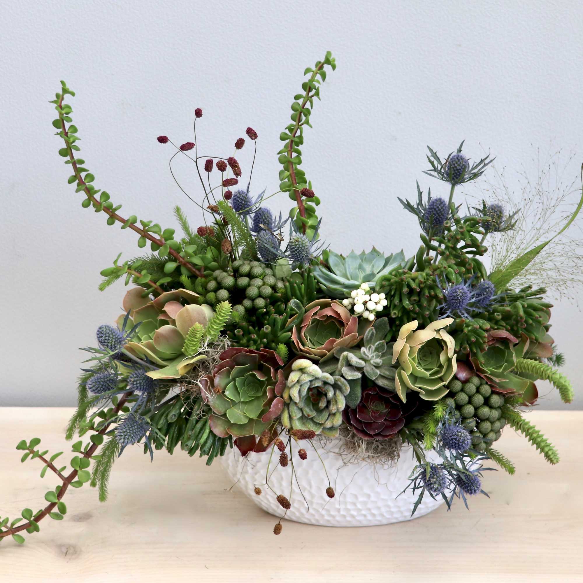 Low centerpiece of assorted succulents and blue thistles in a white ceramic bowl