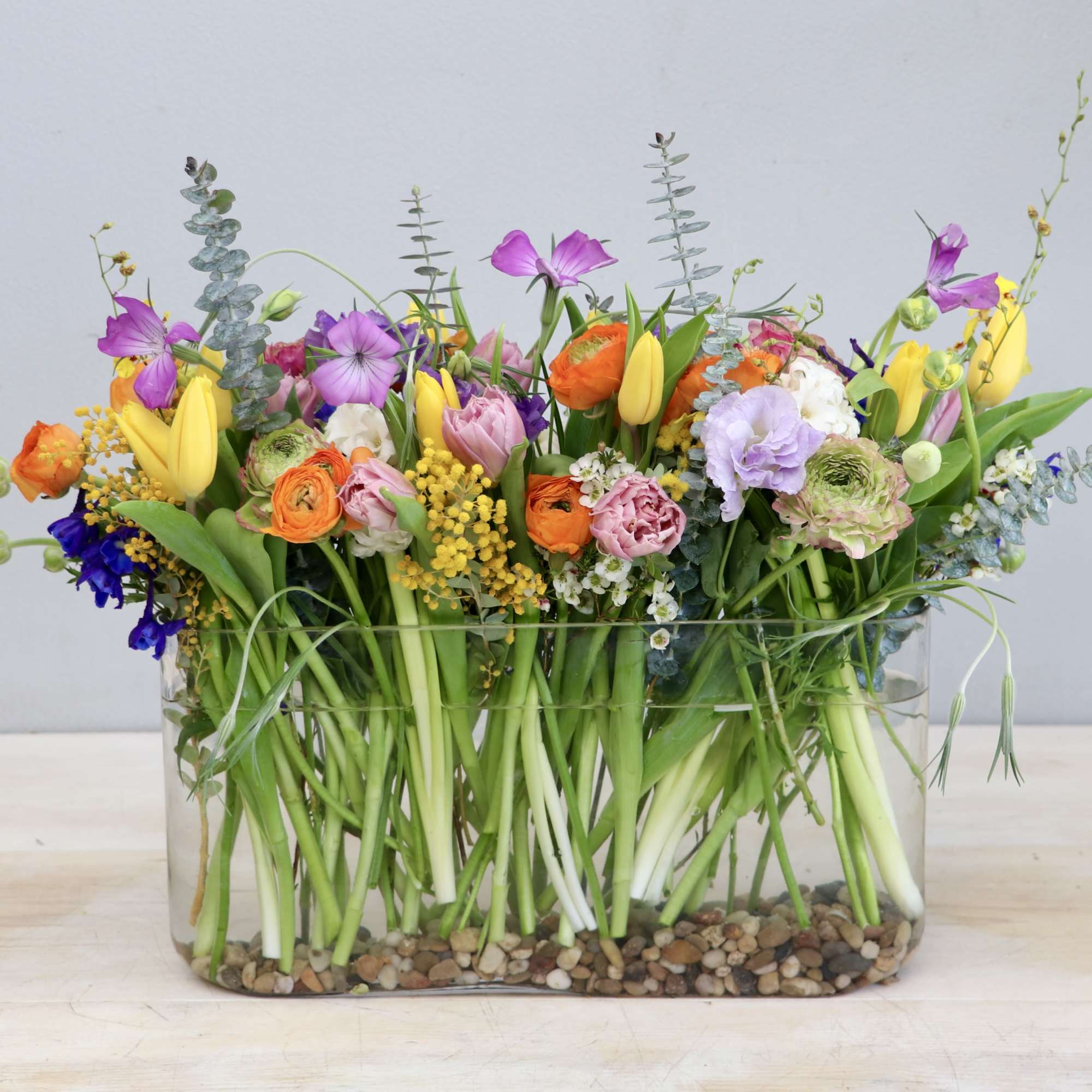 Bright mixed spring flowers including tulips and ranunculus in a clear rectangular vase with pebbles