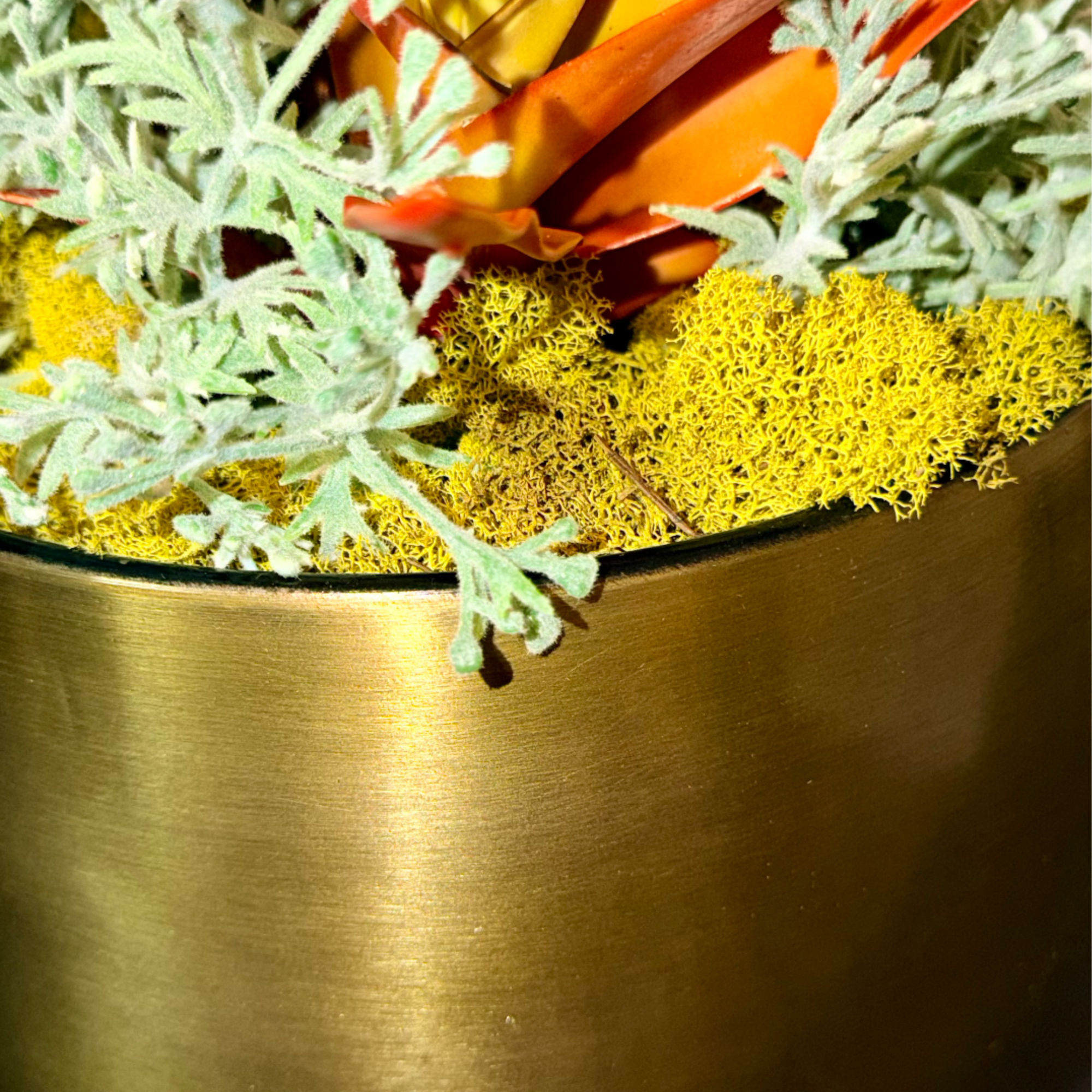 Close-up of an orange tropical plant with yellow moss in a gold metal pot