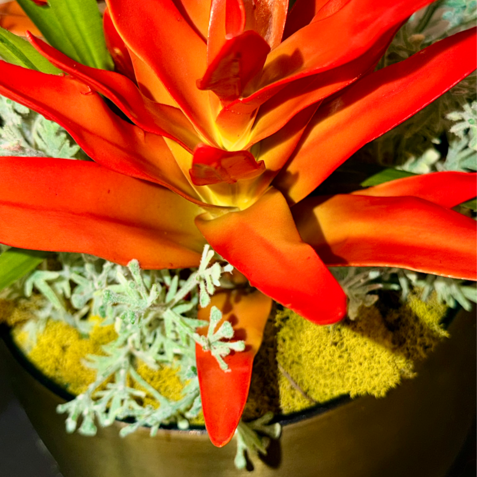 Orange tropical plant with pointed petals in a gold metal pot with moss at the base