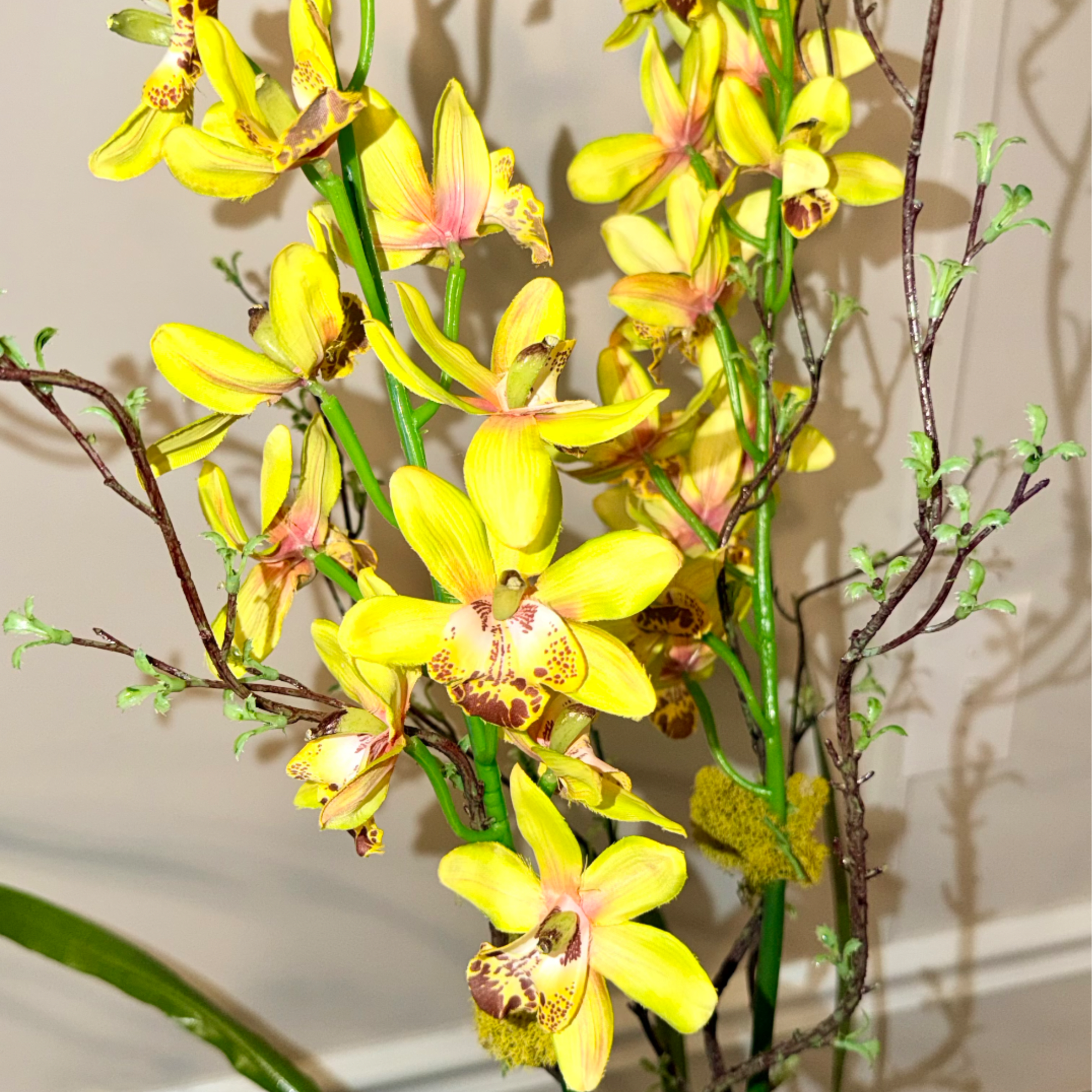 Tall yellow cymbidium orchid stems arranged with bare branches in a container.