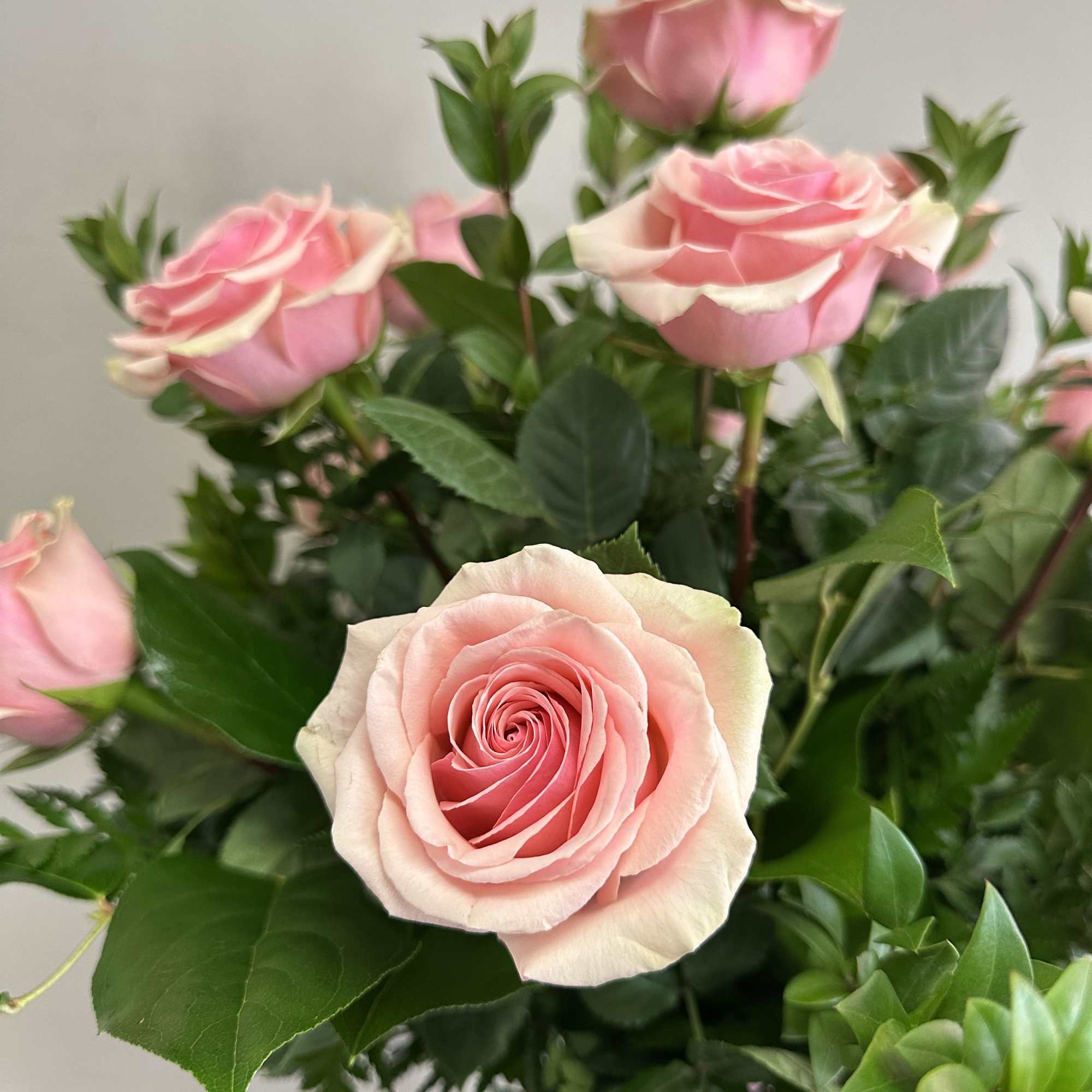 Pink roses with green foliage in a bouquet