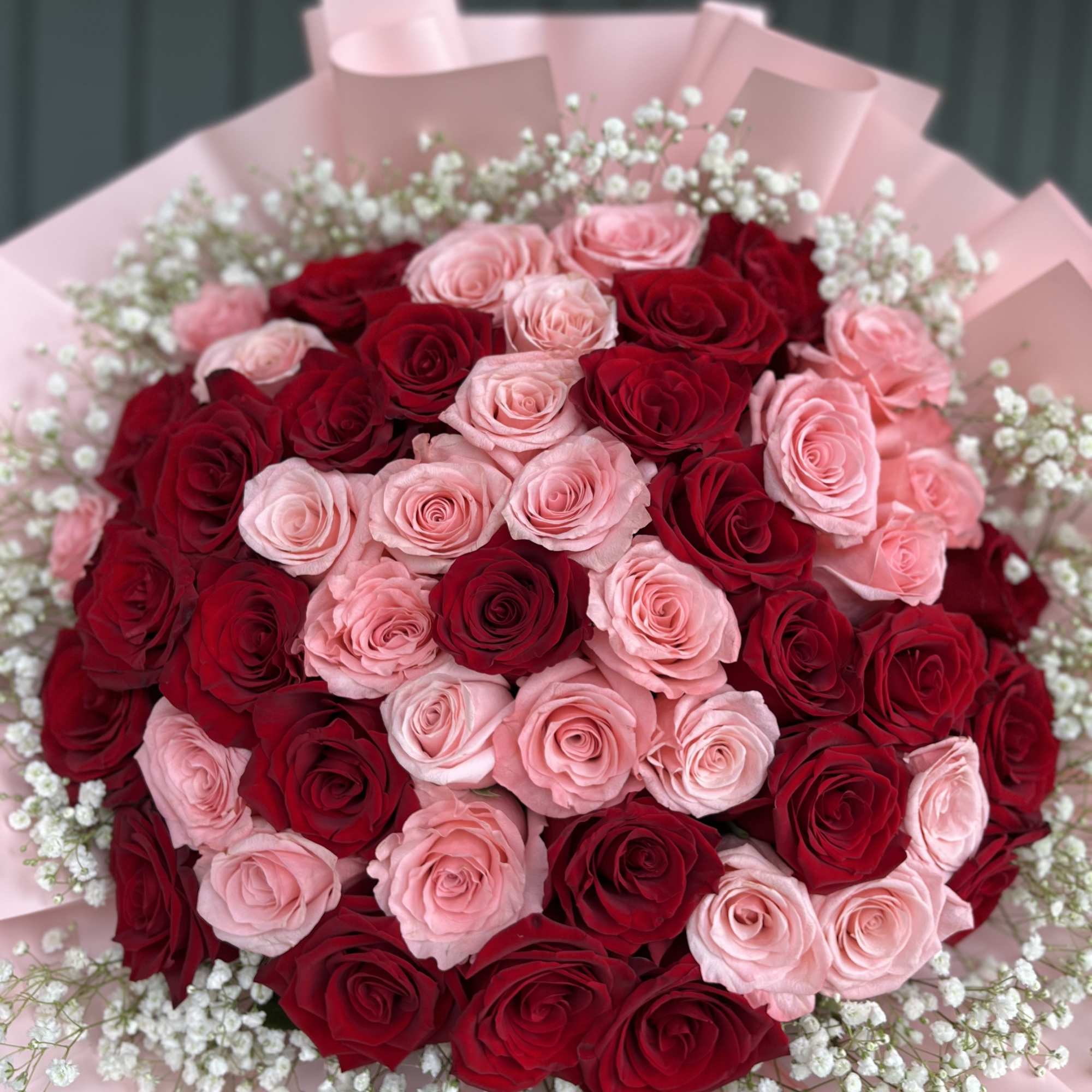 Bouquet of red and pink roses wrapped in pink paper