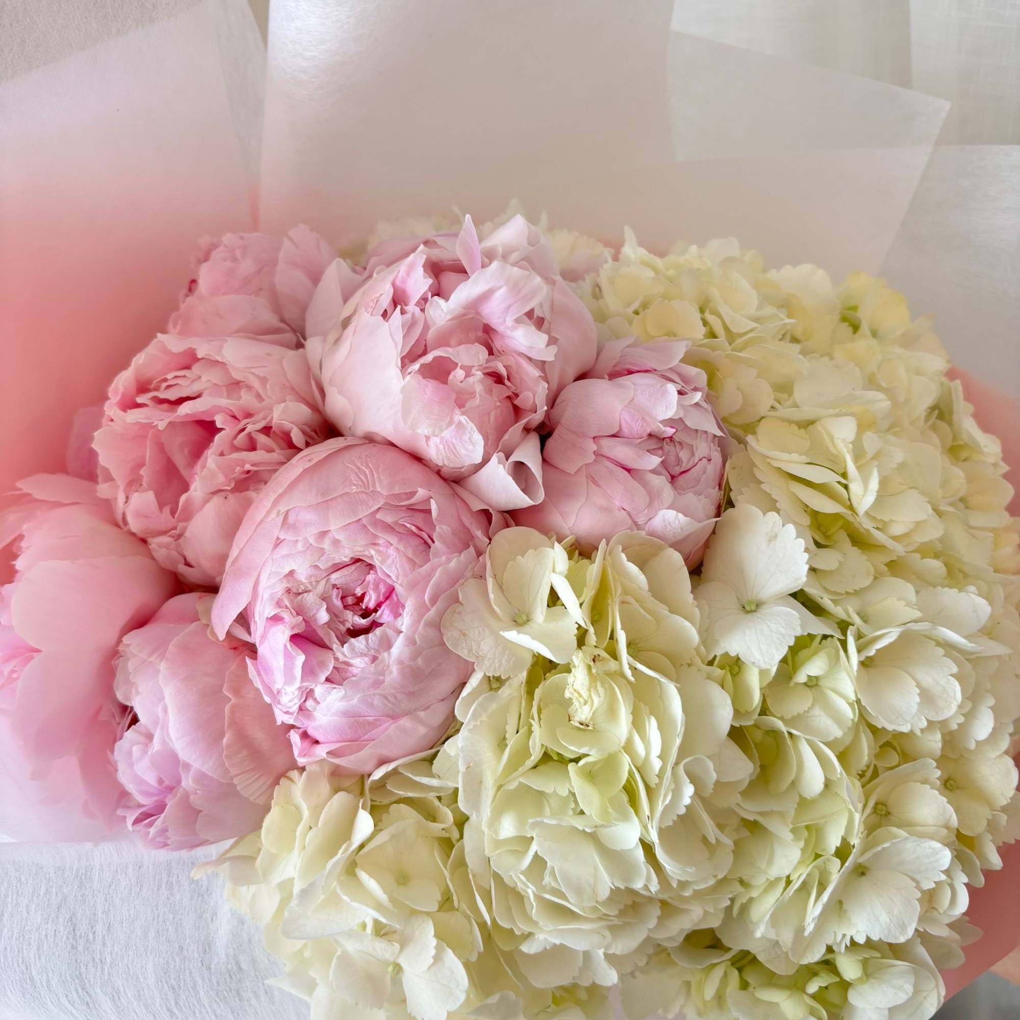 This simple yet impactful bouquet of 10 Peonies (standard) nestled in a, photo 3 of 3